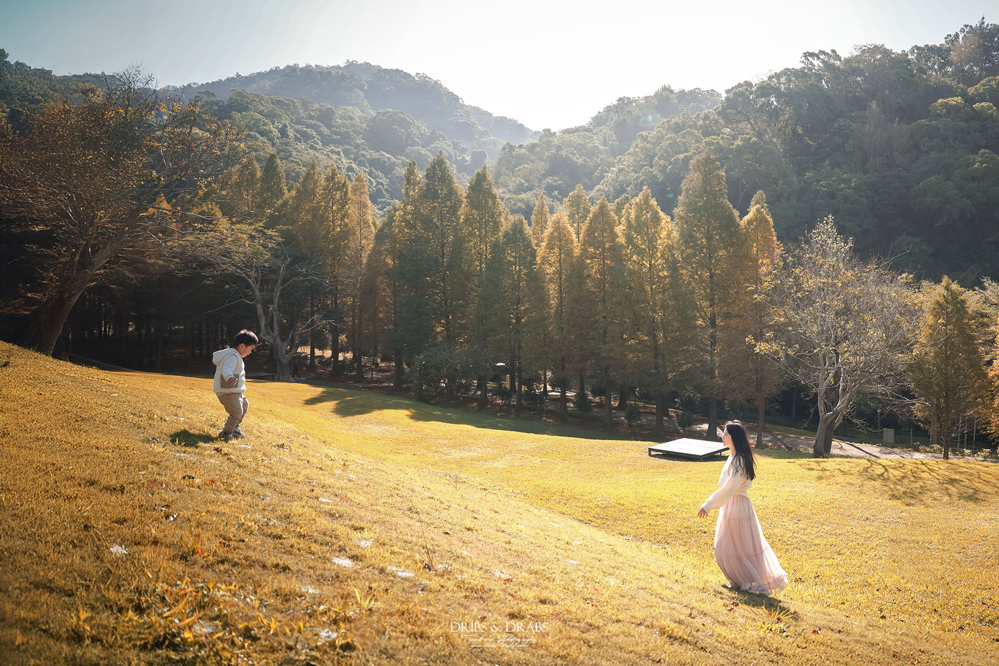 新竹芎林小森之歌｜新竹落羽松景點、親子景點推薦，唯美白色教堂打卡點