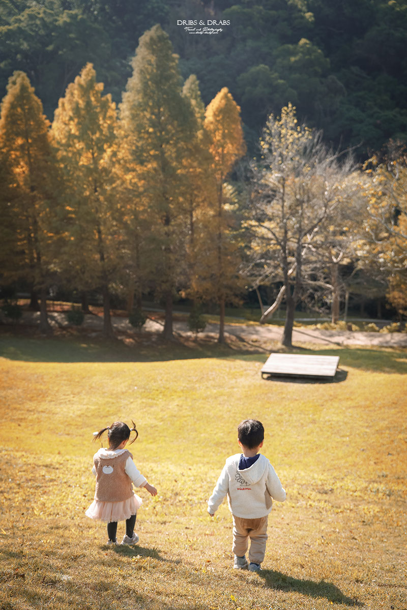 新竹芎林小森之歌｜新竹落羽松景點、親子景點推薦，唯美白色教堂打卡點