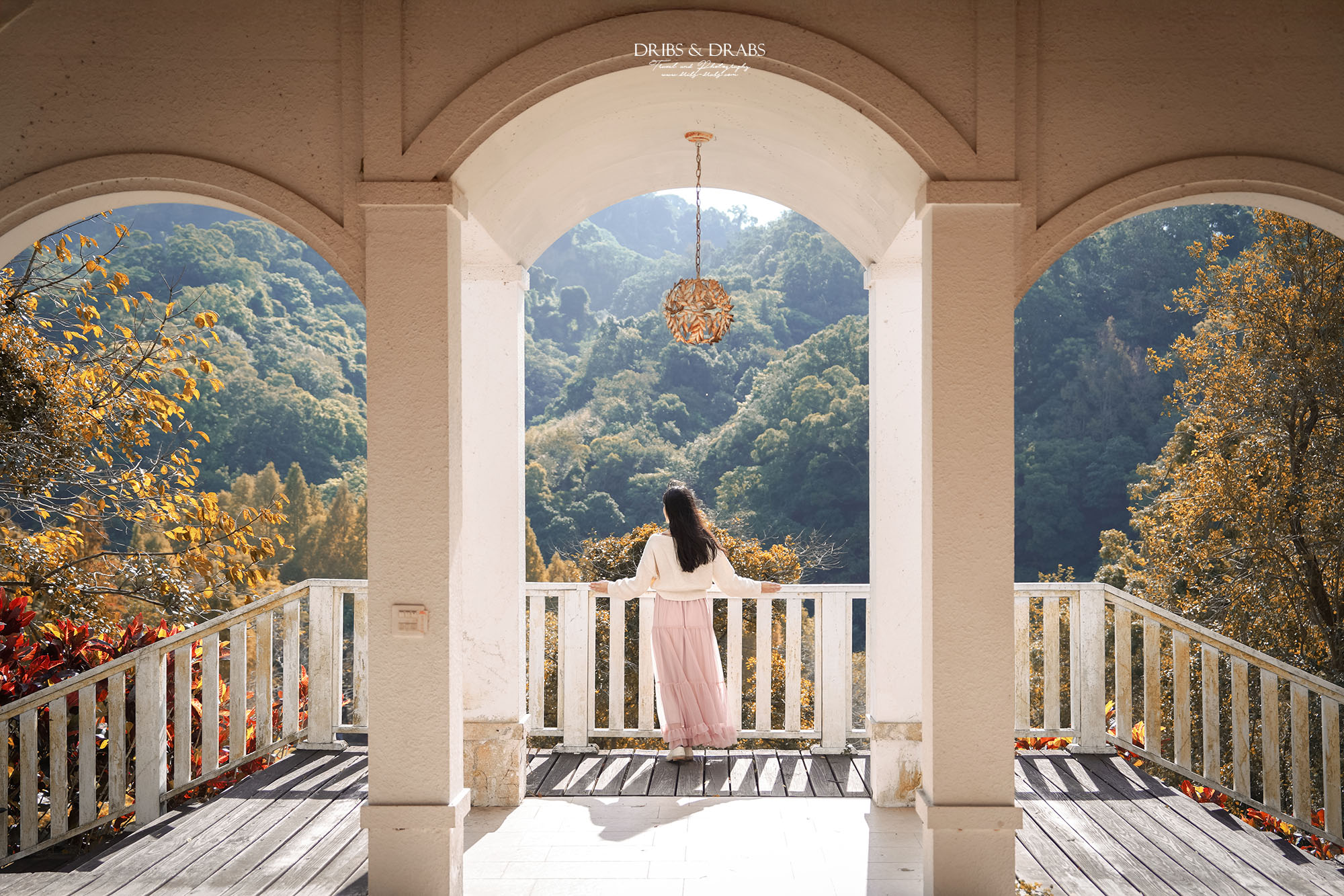 新竹芎林小森之歌｜新竹落羽松景點、親子景點推薦，唯美白色教堂打卡點