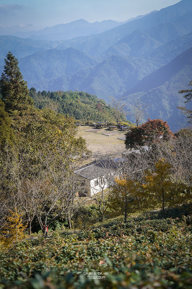 新竹山上人家森林農場銀杏季雲海季