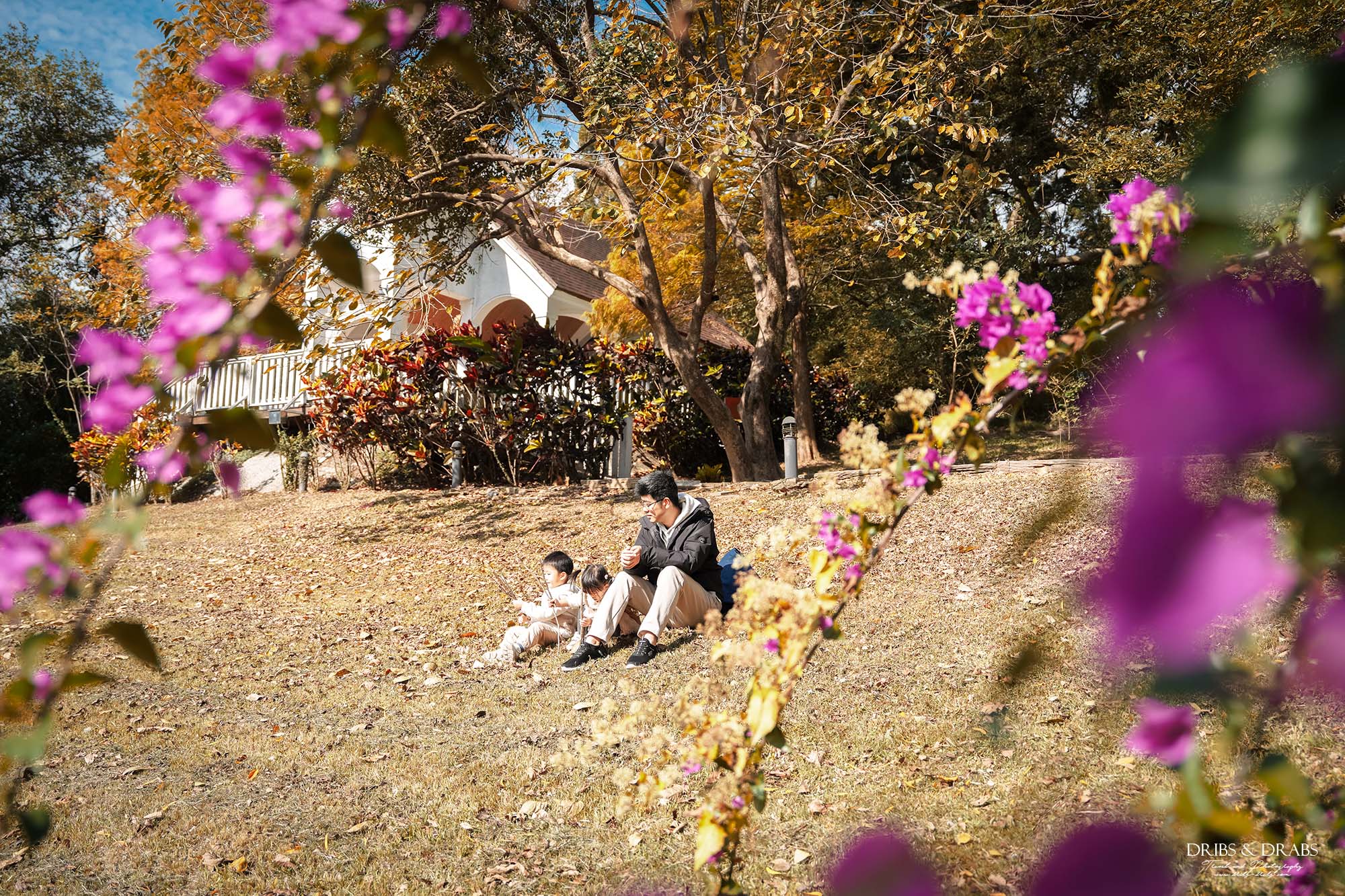 新竹芎林小森之歌｜新竹落羽松景點、親子景點推薦，唯美白色教堂打卡點