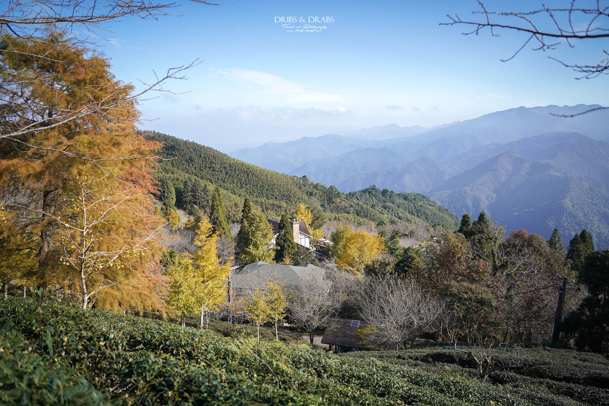 新竹山上人家森林農場銀杏季雲海季