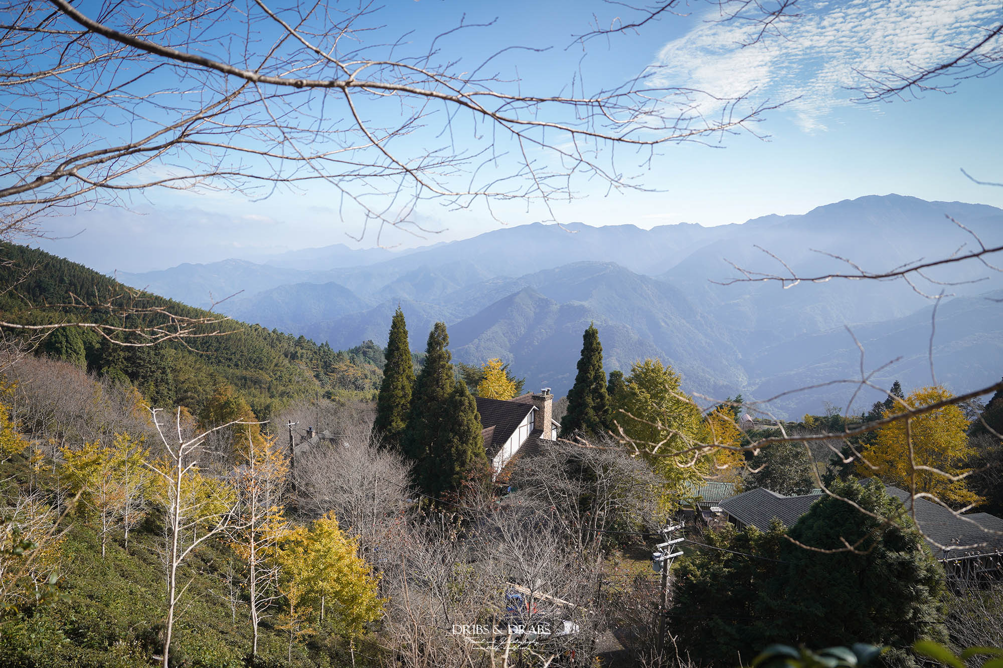 新竹山上人家森林農場銀杏季雲海季