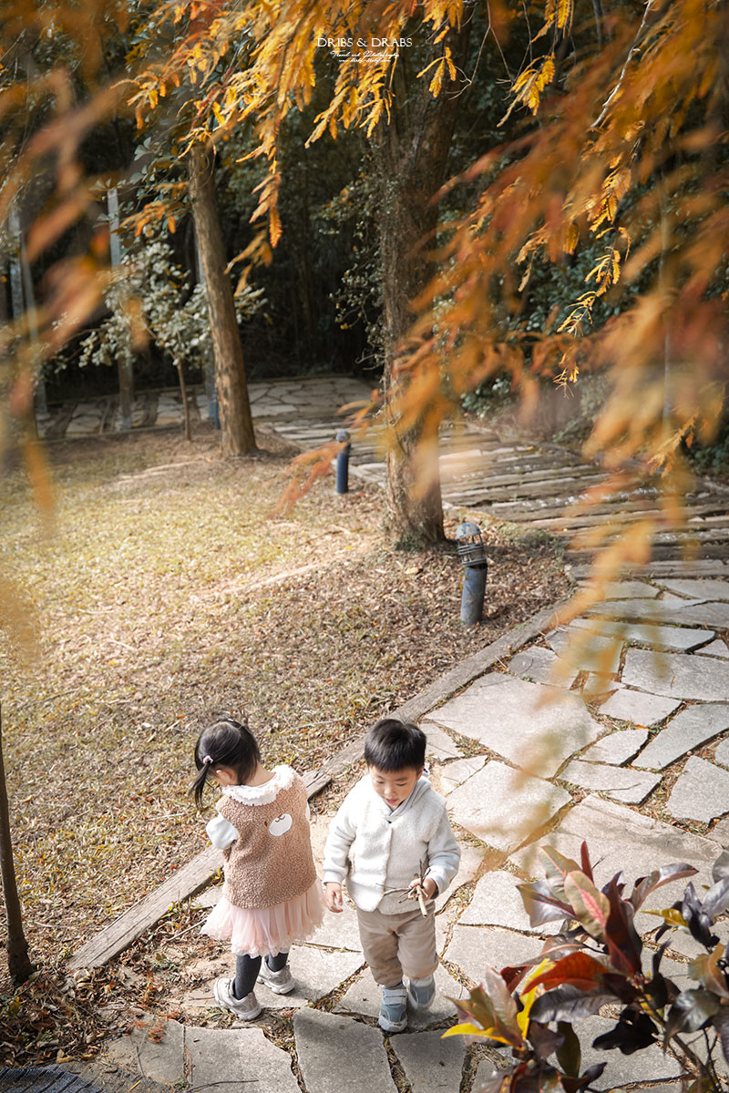 新竹芎林小森之歌｜新竹落羽松景點、親子景點推薦，唯美白色教堂打卡點