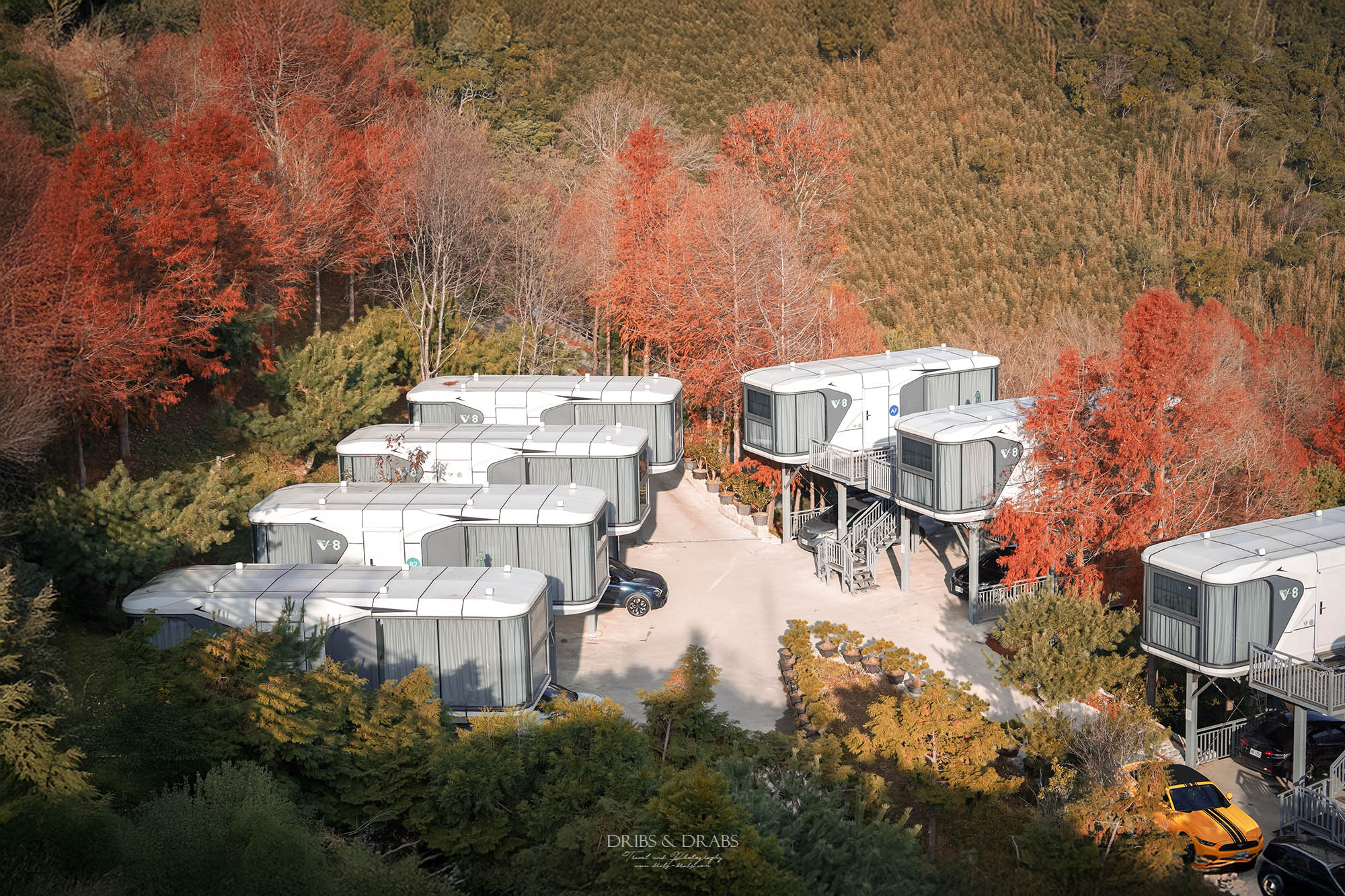 新竹尖石「數碼天空景觀餐廳」山坡上的太空艙住宿, 270度飽覽群山美景