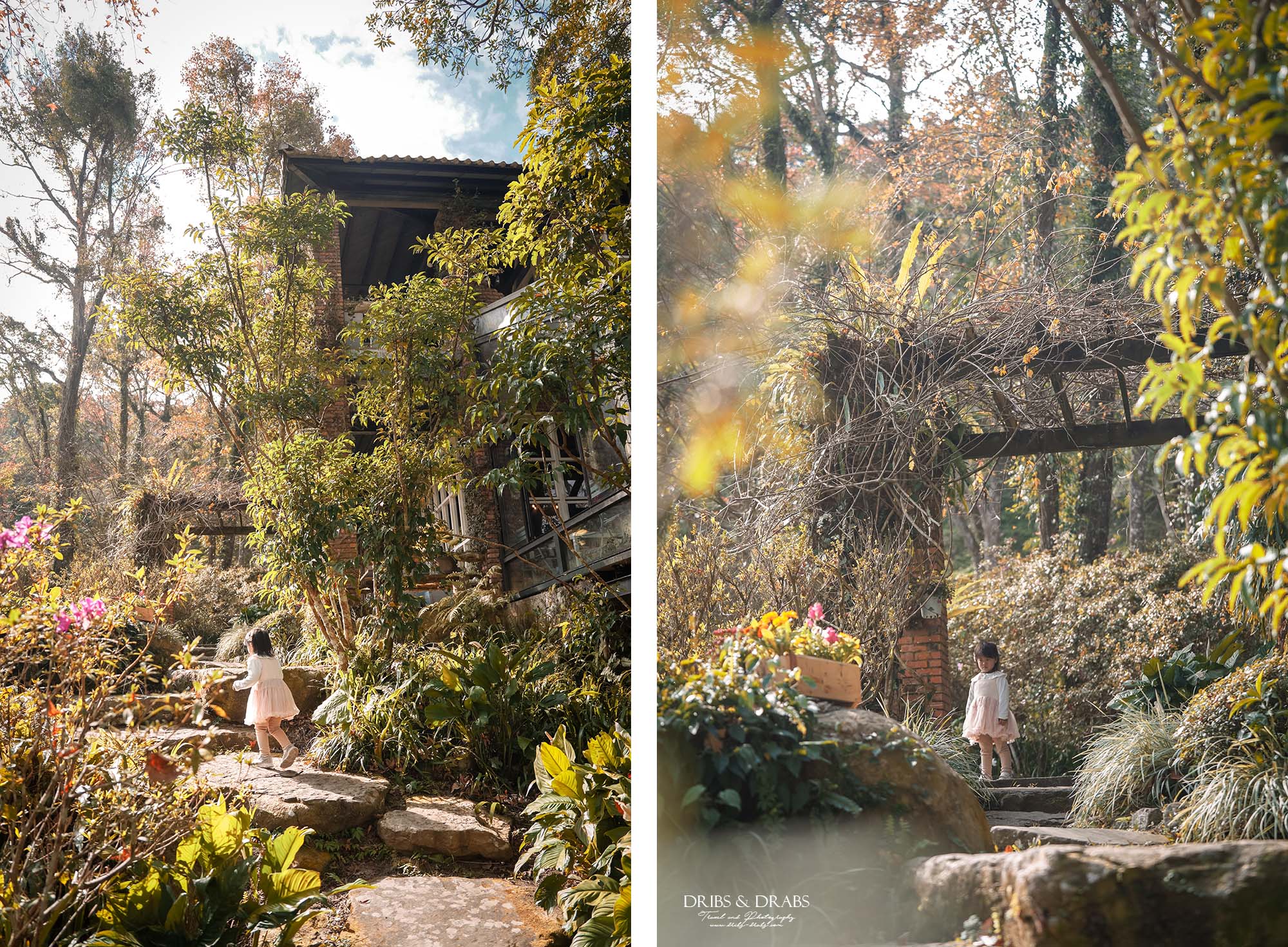新竹尖石景觀餐廳推薦｜拉號花園咖啡廳 (原6號花園) 隱身山林的紅磚玻璃屋，彷彿走進精靈國度