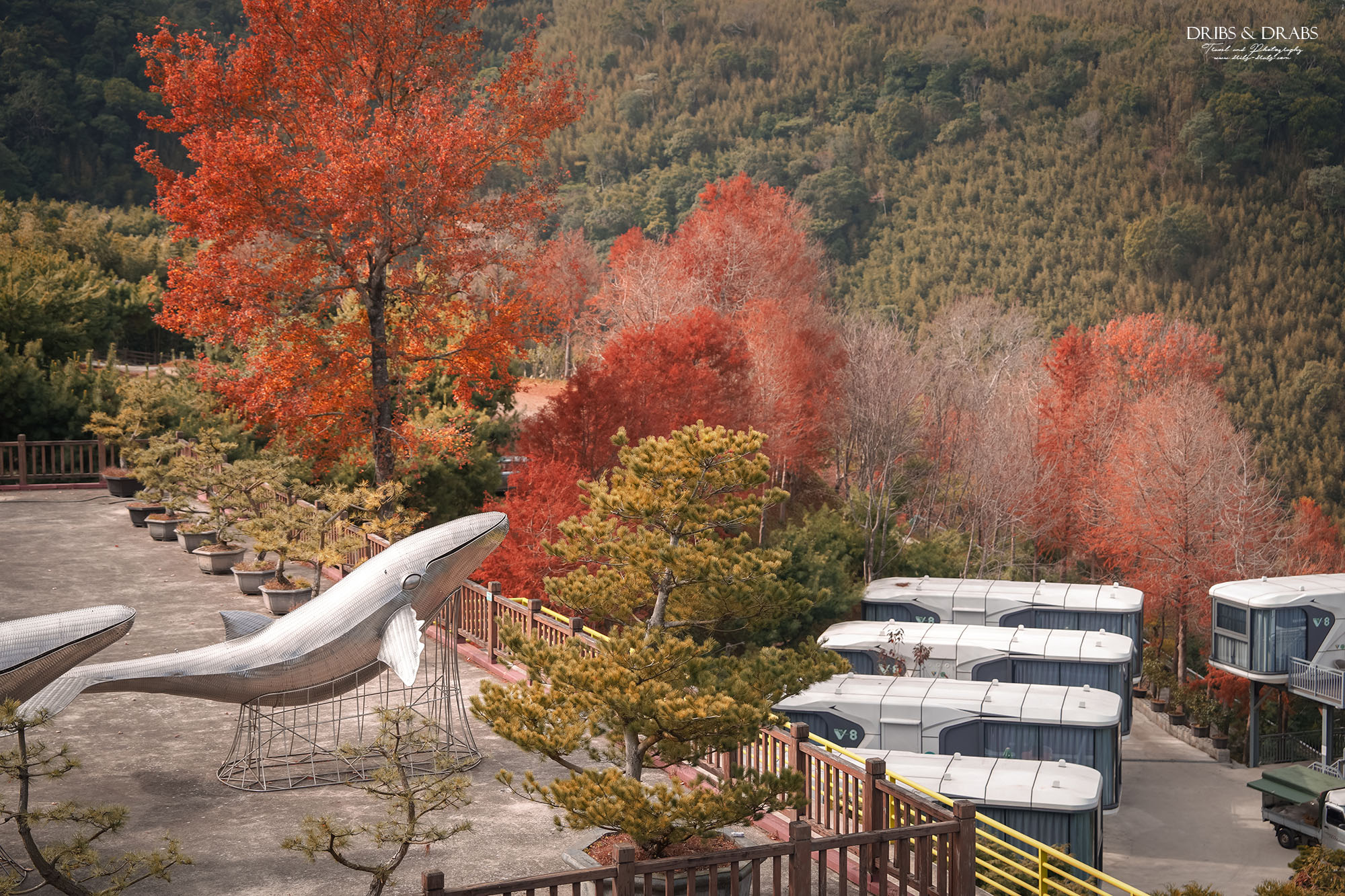 新竹尖石「數碼天空景觀餐廳」山坡上的太空艙住宿, 270度飽覽群山美景 - 第4張圖 新竹尖石「數碼天空景觀餐廳」山坡上的太空艙住宿, 270度飽覽群山美景