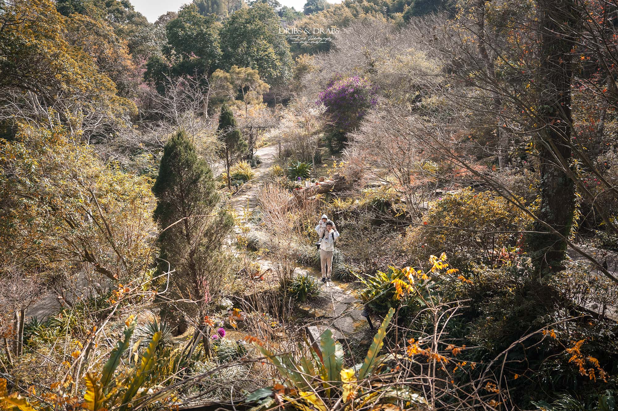 新竹尖石景觀餐廳推薦｜拉號花園咖啡廳 (原6號花園) 隱身山林的紅磚玻璃屋，彷彿走進精靈國度
