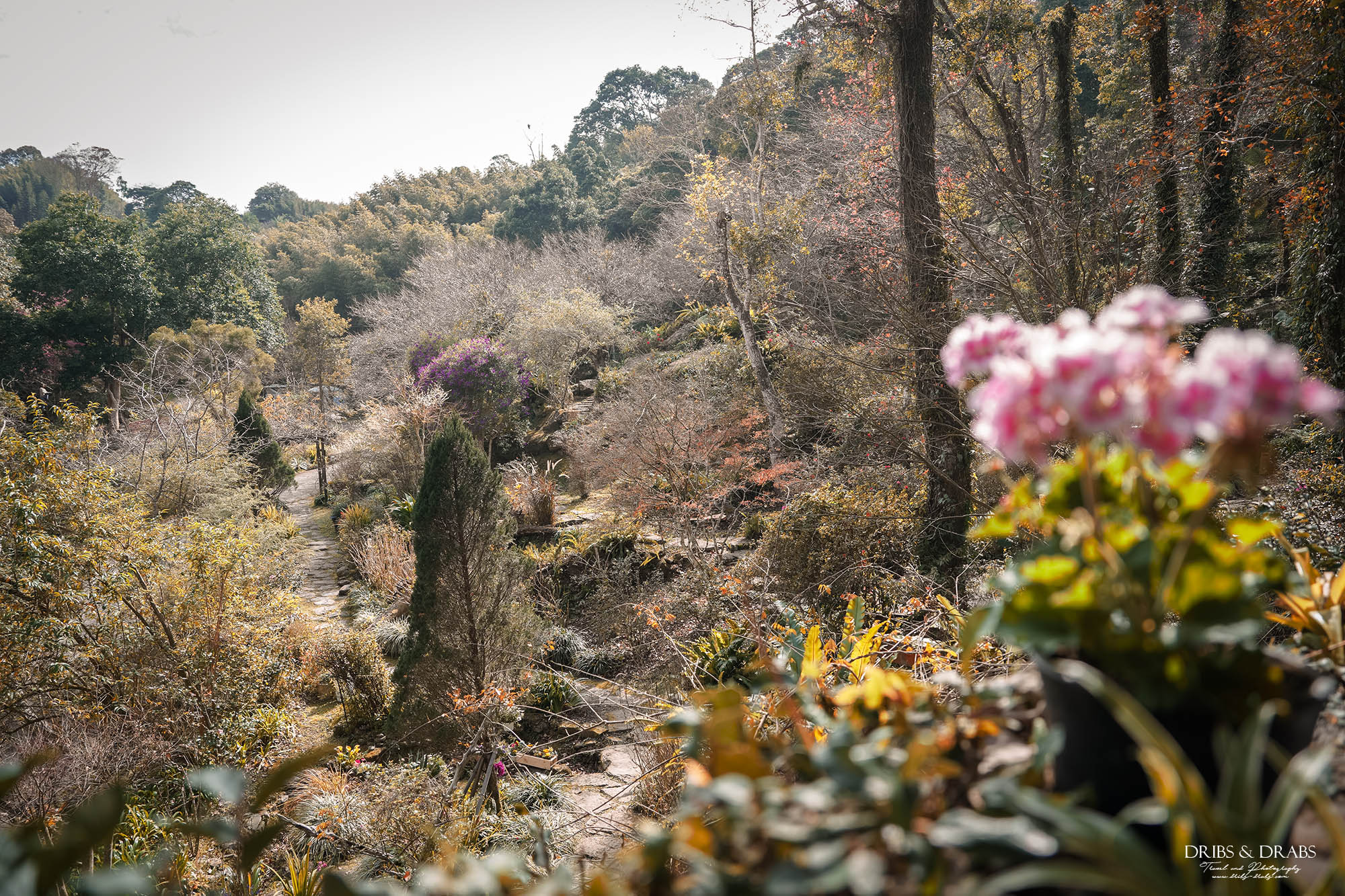 新竹尖石景觀餐廳推薦｜拉號花園咖啡廳 (原6號花園) 隱身山林的紅磚玻璃屋，彷彿走進精靈國度