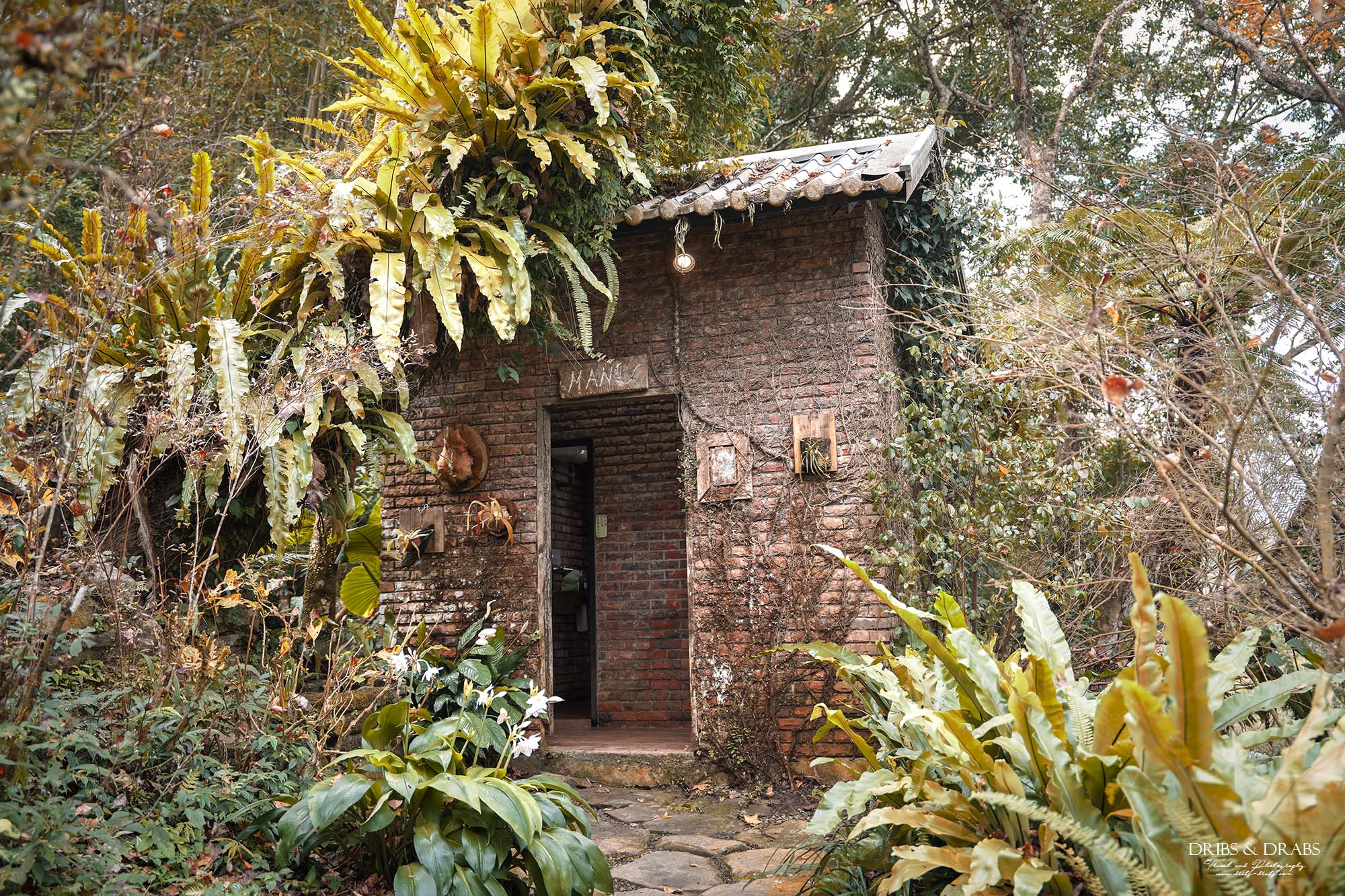 新竹尖石景觀餐廳推薦｜拉號花園咖啡廳 (原6號花園) 隱身山林的紅磚玻璃屋，彷彿走進精靈國度
