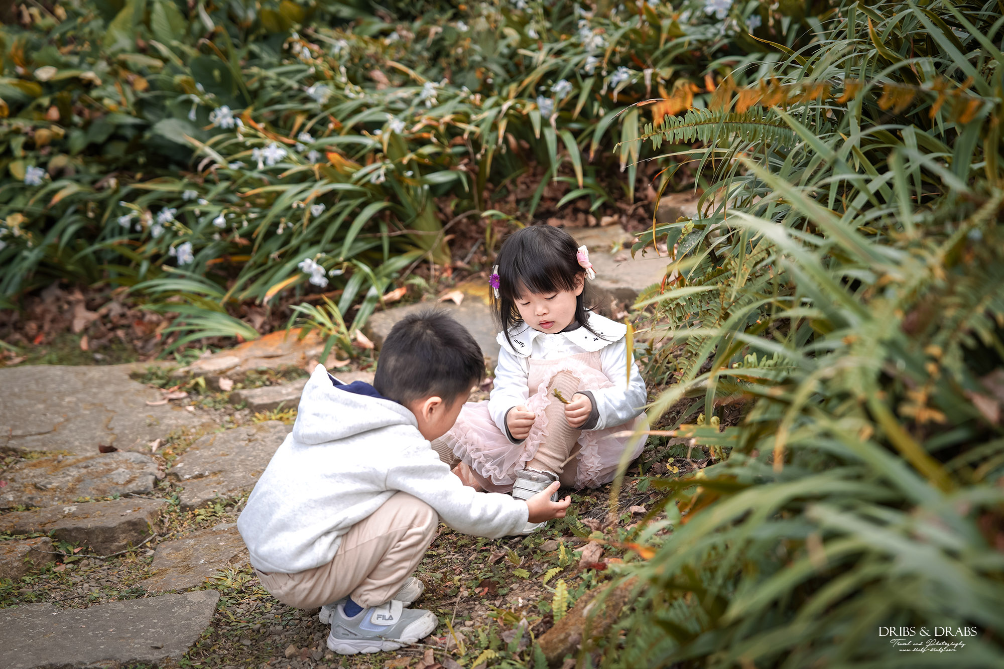 新竹尖石景觀餐廳推薦｜拉號花園咖啡廳 (原6號花園) 隱身山林的紅磚玻璃屋，彷彿走進精靈國度