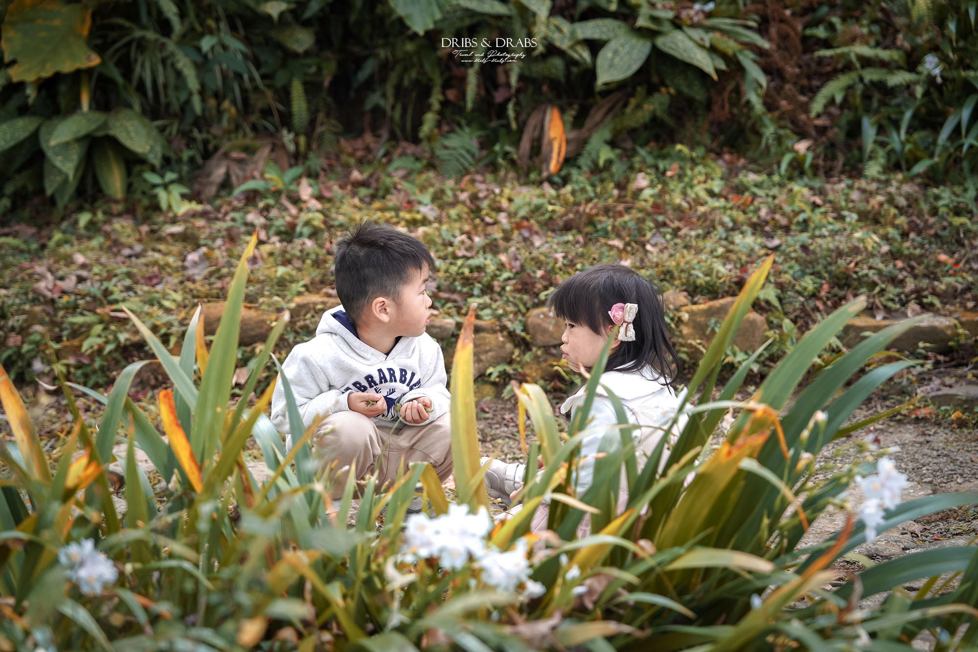 新竹尖石景觀餐廳推薦｜拉號花園咖啡廳 (原6號花園) 隱身山林的紅磚玻璃屋，彷彿走進精靈國度