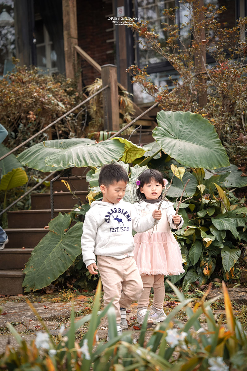 新竹尖石景觀餐廳推薦｜拉號花園咖啡廳 (原6號花園) 隱身山林的紅磚玻璃屋，彷彿走進精靈國度