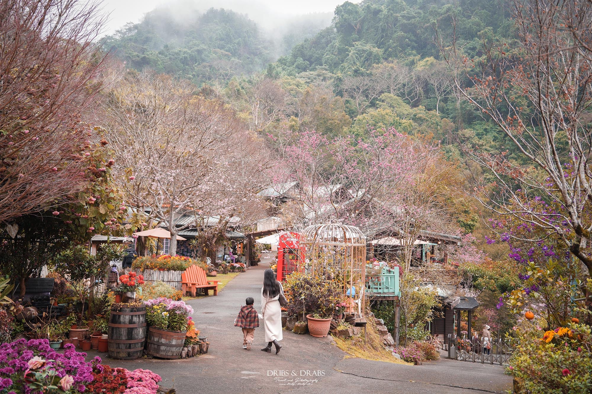 苗栗南庄碧絡角花園咖啡｜櫻花季限定賞櫻秘境，山林環繞的桃花源景觀餐廳