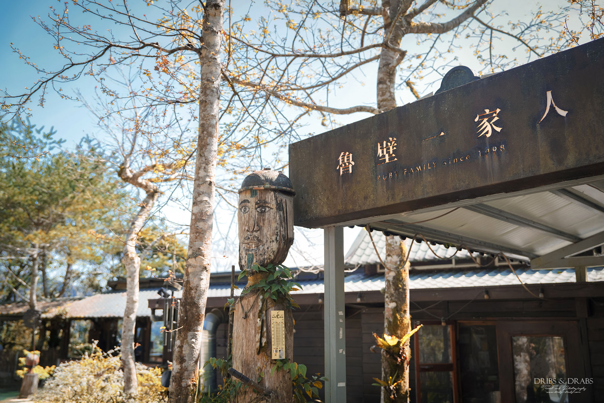 新竹尖石魯壁一家人景觀餐廳｜新開幕宇老森林民宿，一泊二食高山住宿體驗