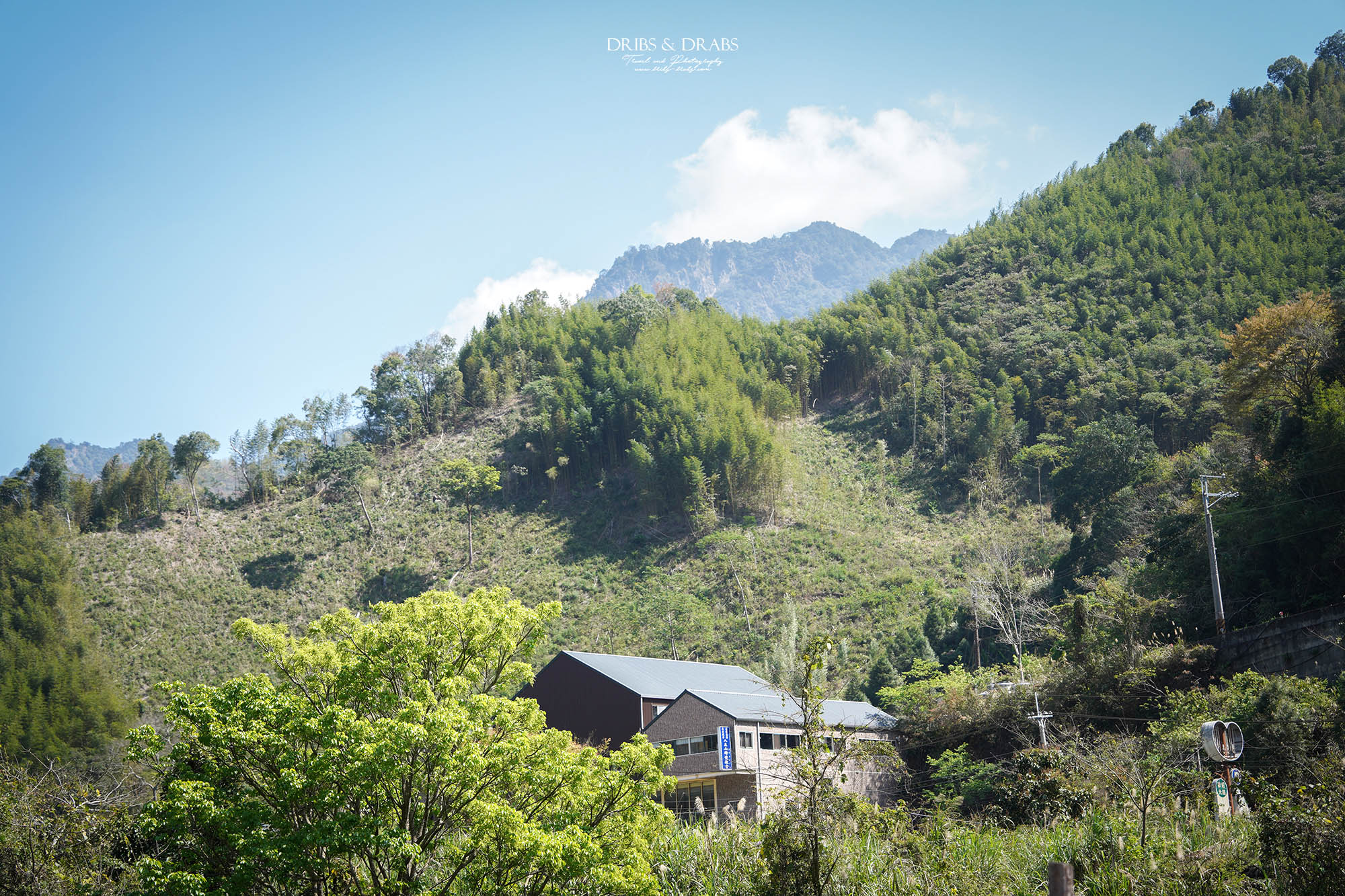 新竹尖石走走｜在雲霧繚繞的山林深處，探訪茶金和獵人黃藤的秘密