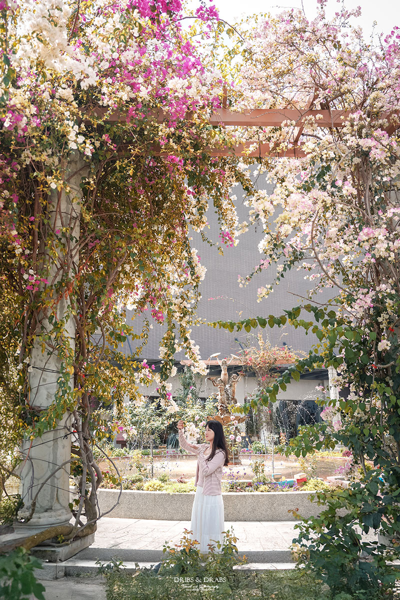 台南後壁雅聞湖濱療癒森林｜全台最大的玫瑰花園免費參觀，內有Terapy咖啡廳