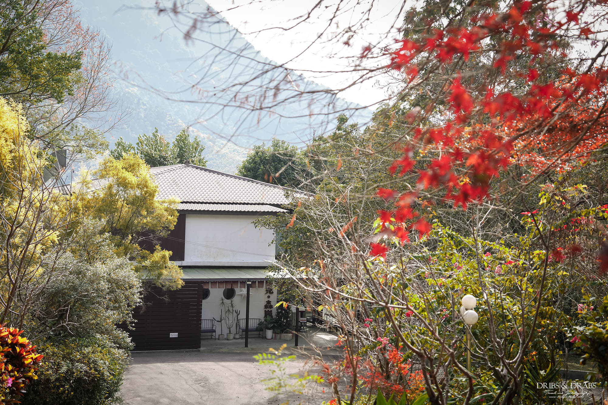 新竹尖石景觀餐廳推薦「日見森嵐咖啡廳」玻璃天空步道+270度壯麗山景秘境