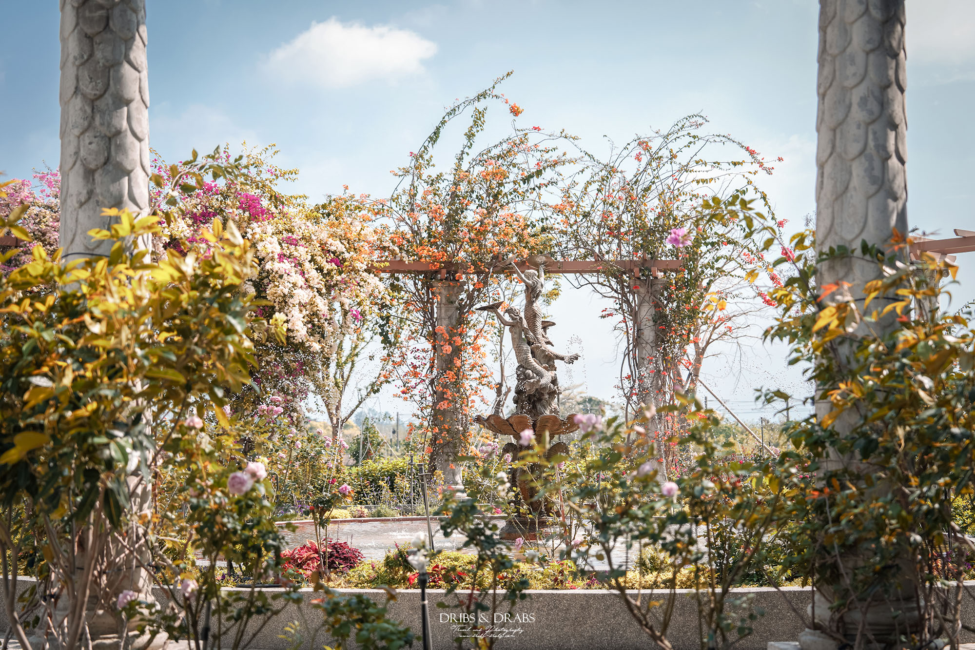 台南後壁雅聞湖濱療癒森林｜全台最大的玫瑰花園免費參觀，內有Terapy咖啡廳