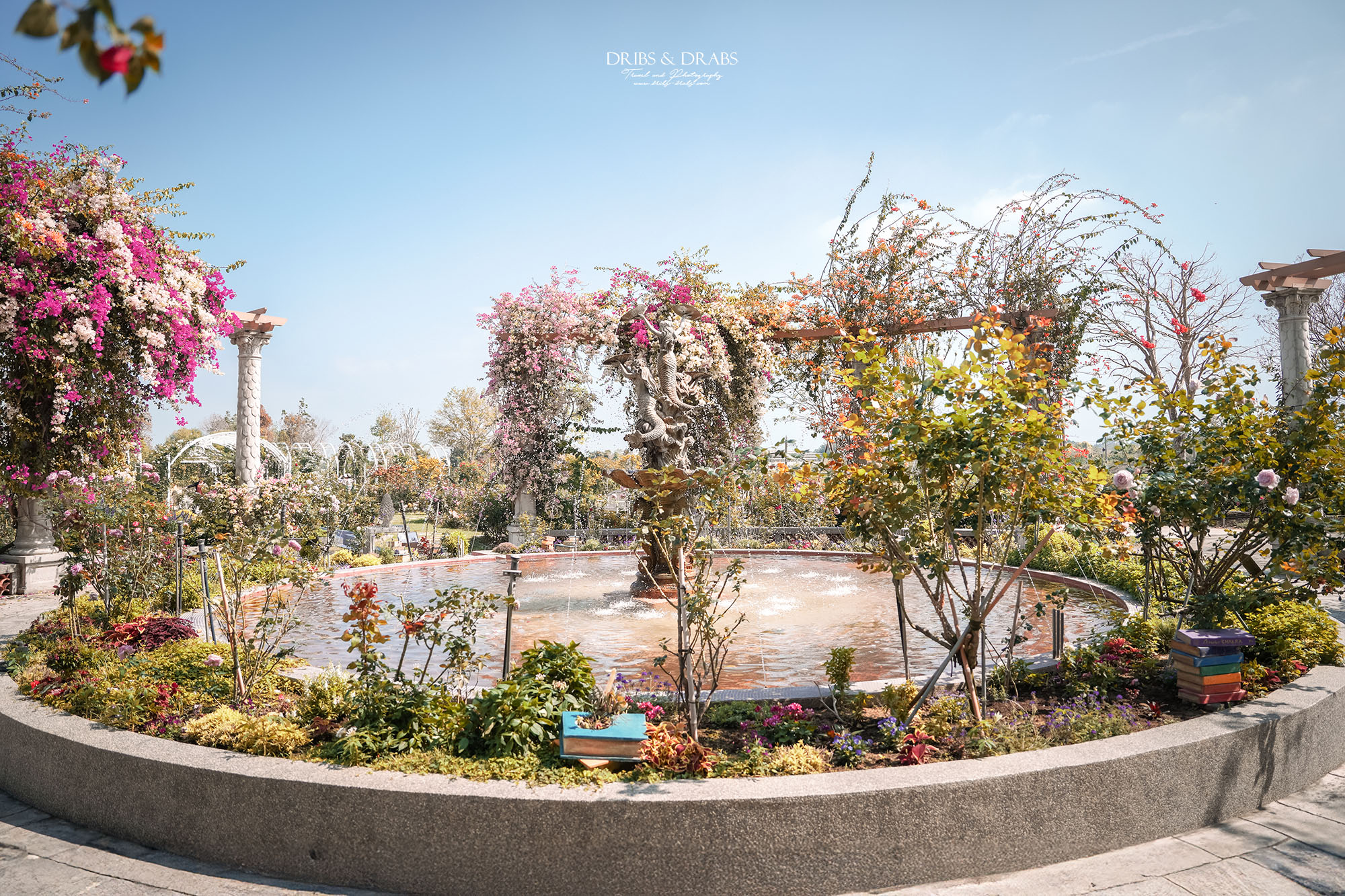 台南後壁雅聞湖濱療癒森林｜全台最大的玫瑰花園免費參觀，內有Terapy咖啡廳