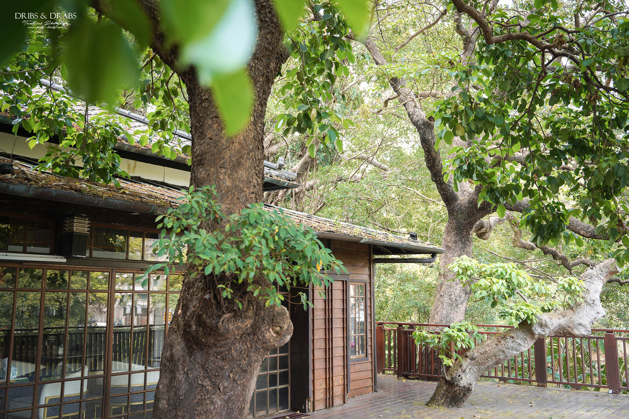 新竹叉子咖啡｜新竹公園湖畔料亭・新竹市立動物園旁百年日式木屋咖啡廳，湖畔景觀餐廳