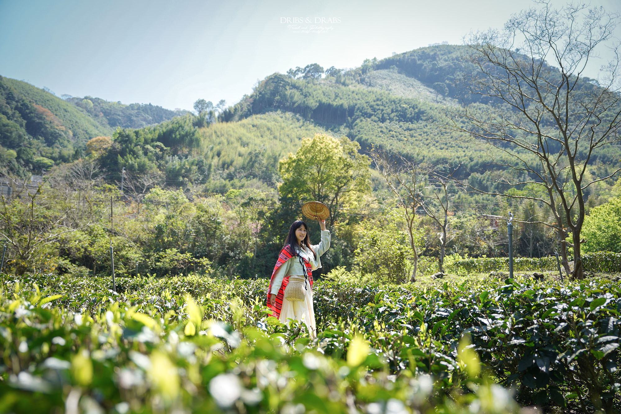 新竹尖石走走｜在雲霧繚繞的山林深處，探訪茶金和獵人黃藤的秘密