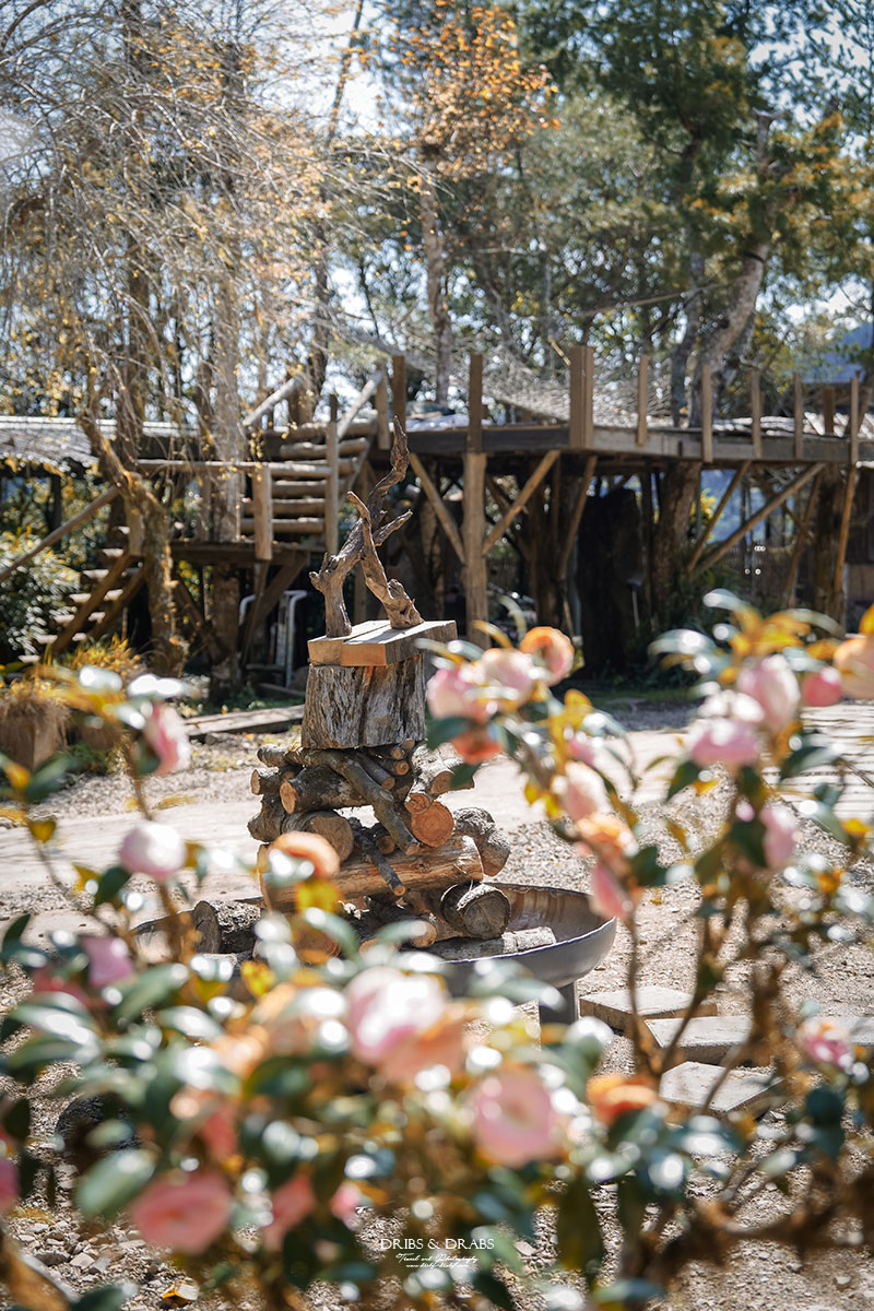 新竹尖石魯壁一家人景觀餐廳｜新開幕宇老森林民宿，一泊二食高山住宿體驗