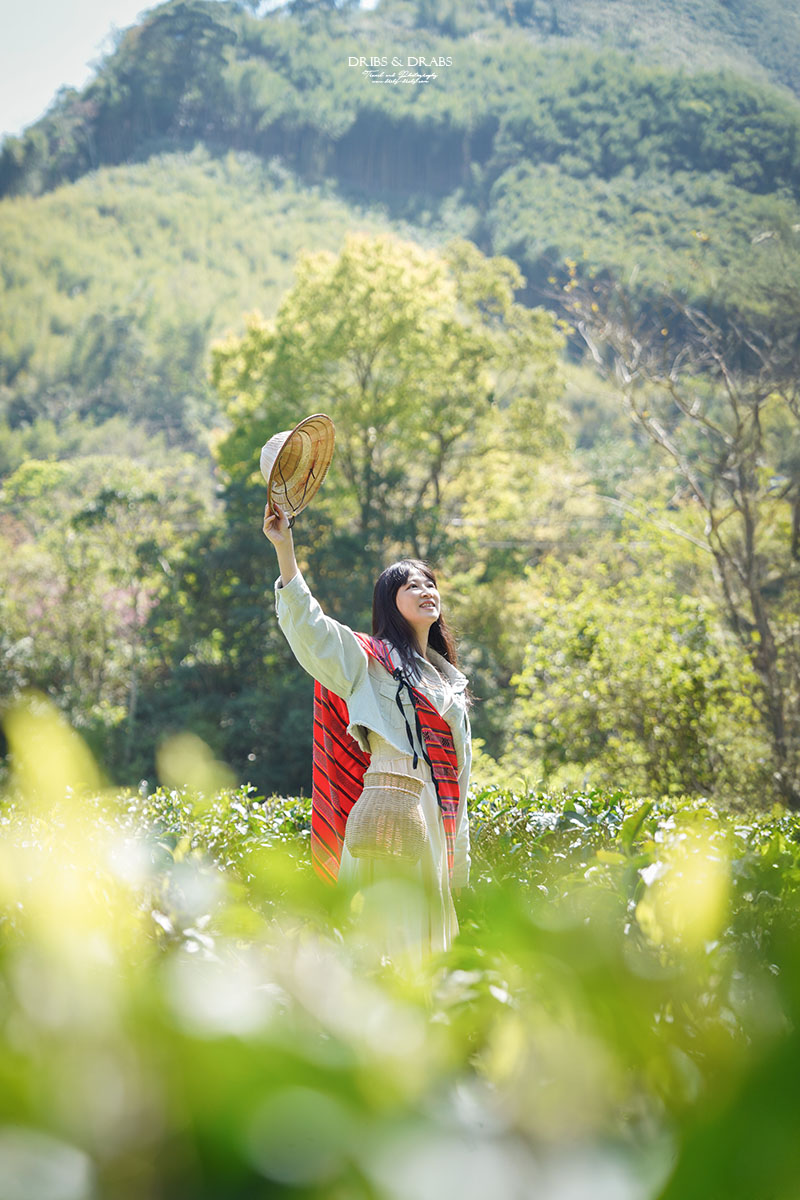 新竹尖石走走｜在雲霧繚繞的山林深處，探訪茶金和獵人黃藤的秘密