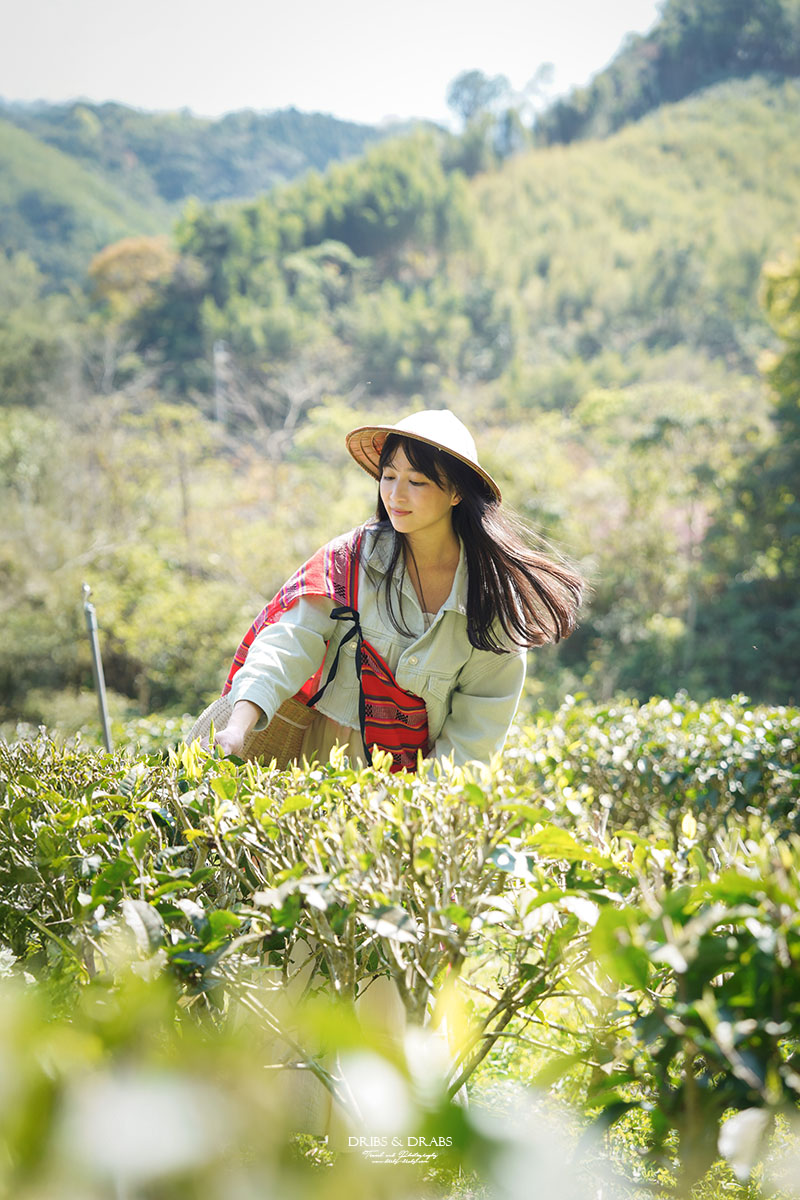 新竹尖石走走｜在雲霧繚繞的山林深處，探訪茶金和獵人黃藤的秘密