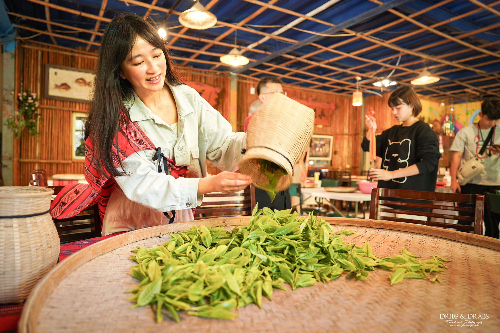 新竹尖石走走｜在雲霧繚繞的山林深處，探訪茶金和獵人黃藤的秘密
