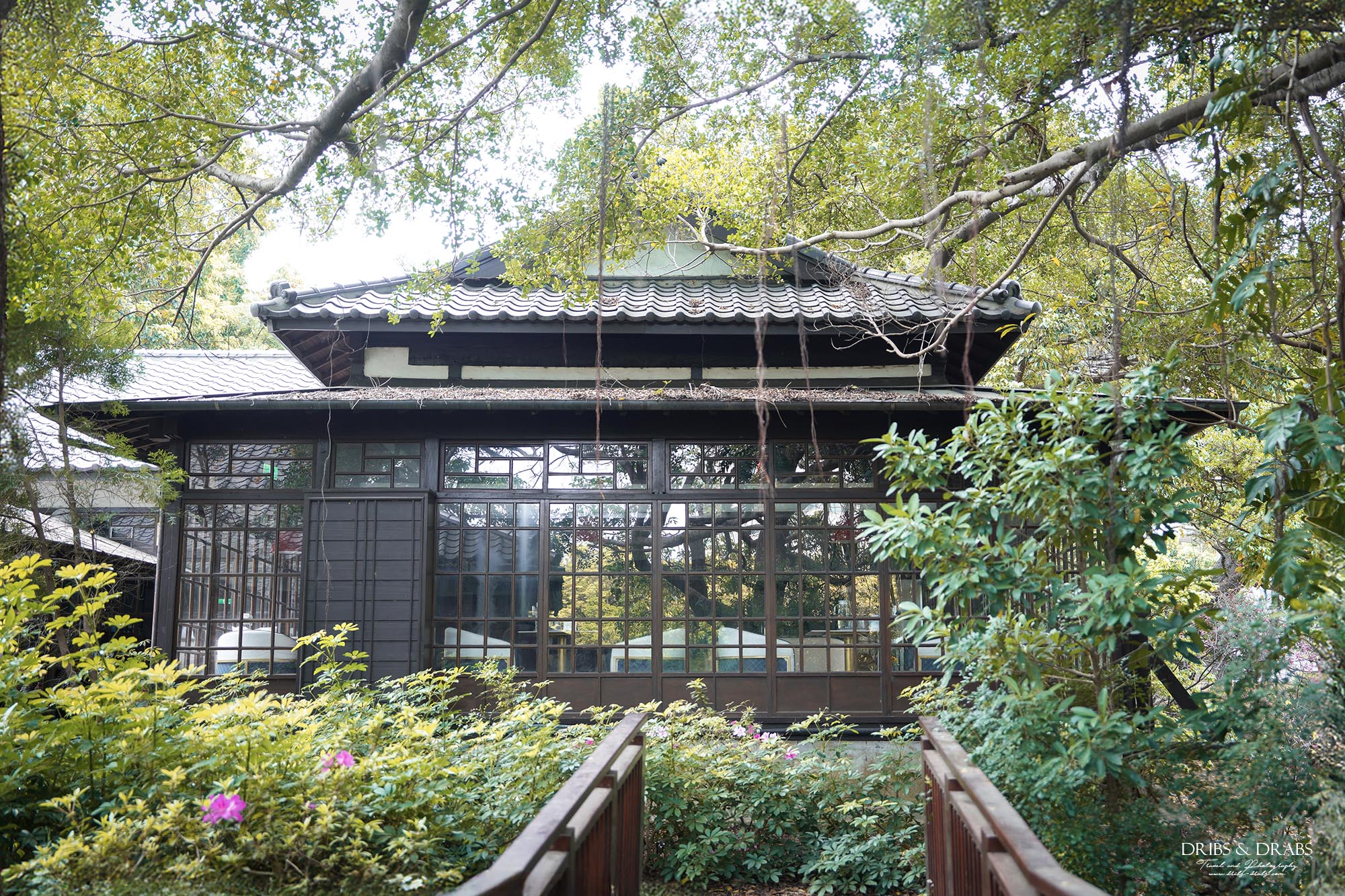 新竹叉子咖啡｜新竹公園湖畔料亭・新竹市立動物園旁百年日式木屋咖啡廳，湖畔景觀餐廳