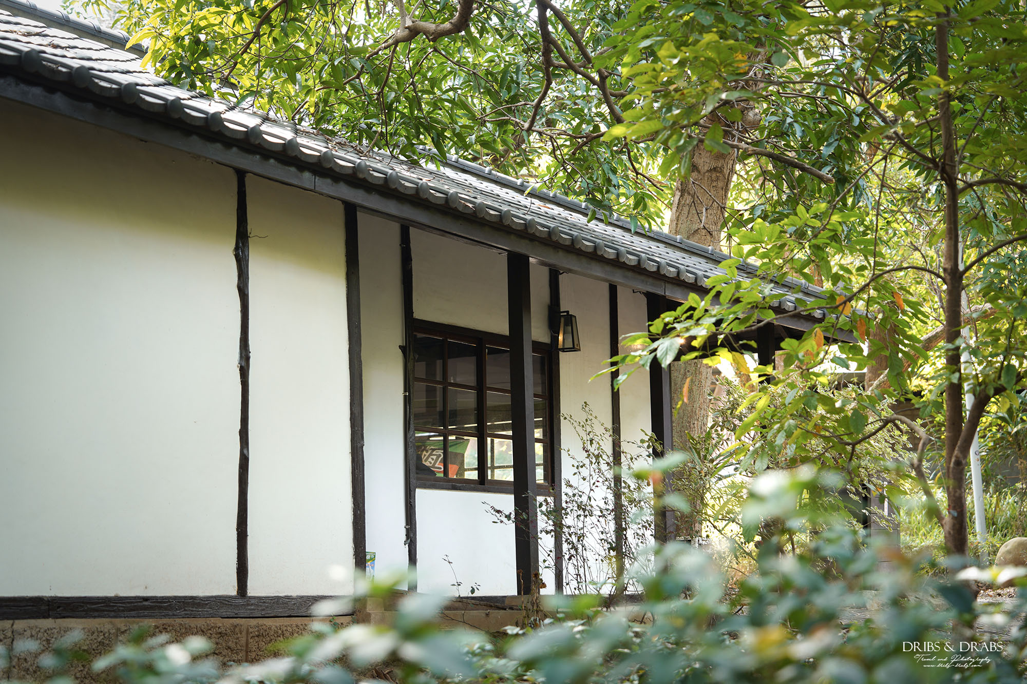 新竹叉子咖啡｜新竹公園湖畔料亭・新竹市立動物園旁百年日式木屋咖啡廳，湖畔景觀餐廳