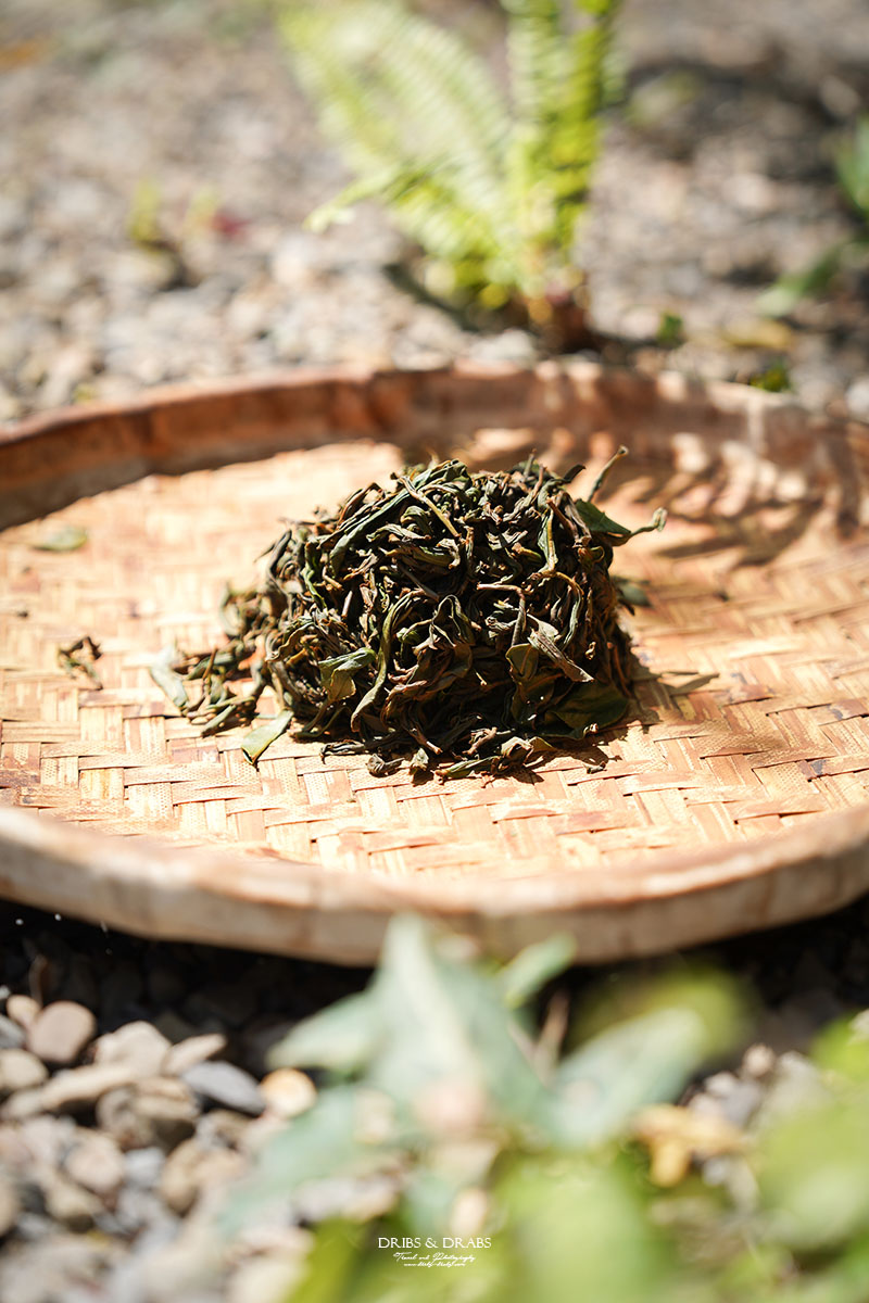 新竹尖石走走｜在雲霧繚繞的山林深處，探訪茶金和獵人黃藤的秘密
