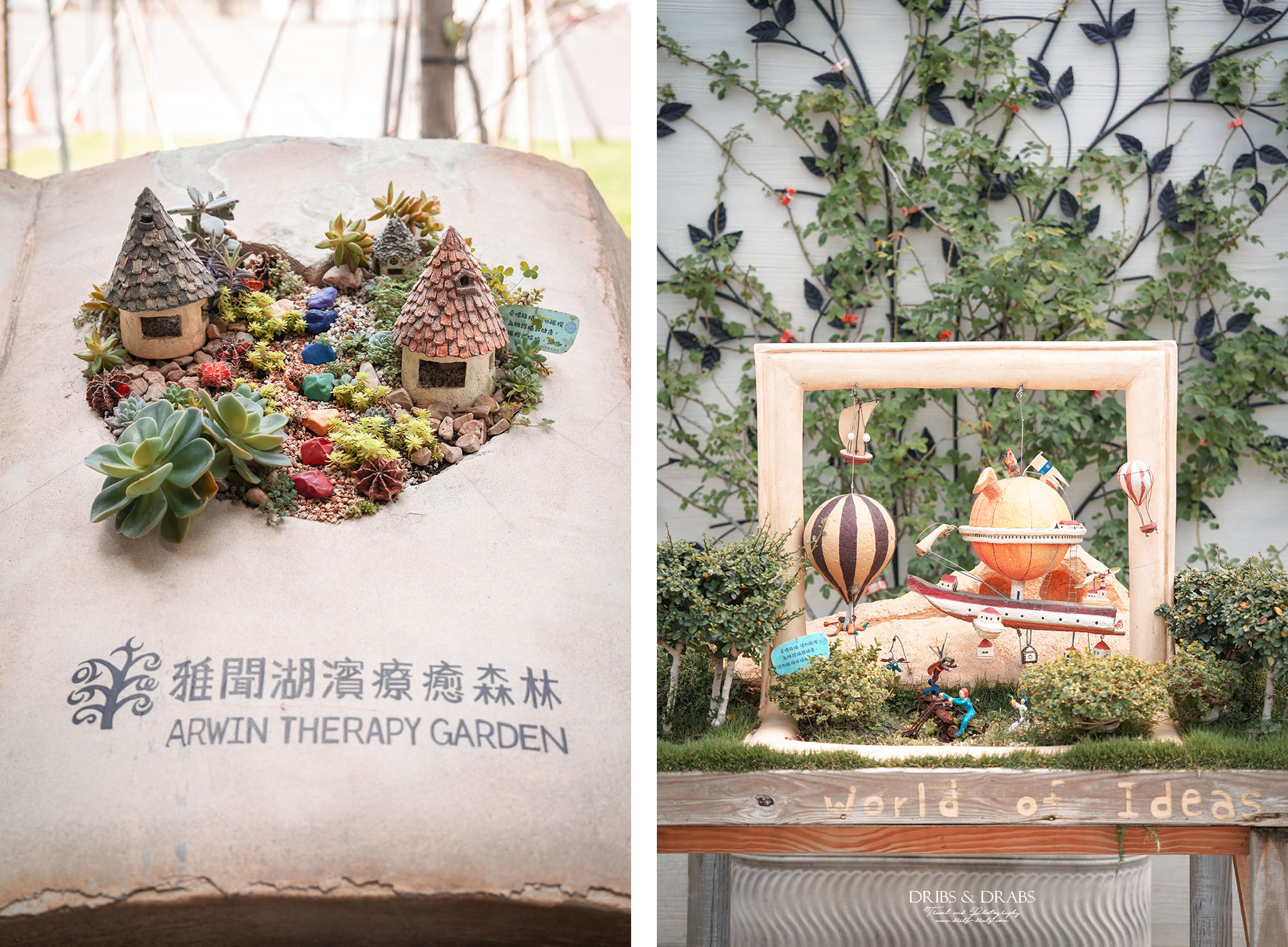 台南後壁雅聞湖濱療癒森林｜全台最大的玫瑰花園免費參觀，內有Terapy咖啡廳