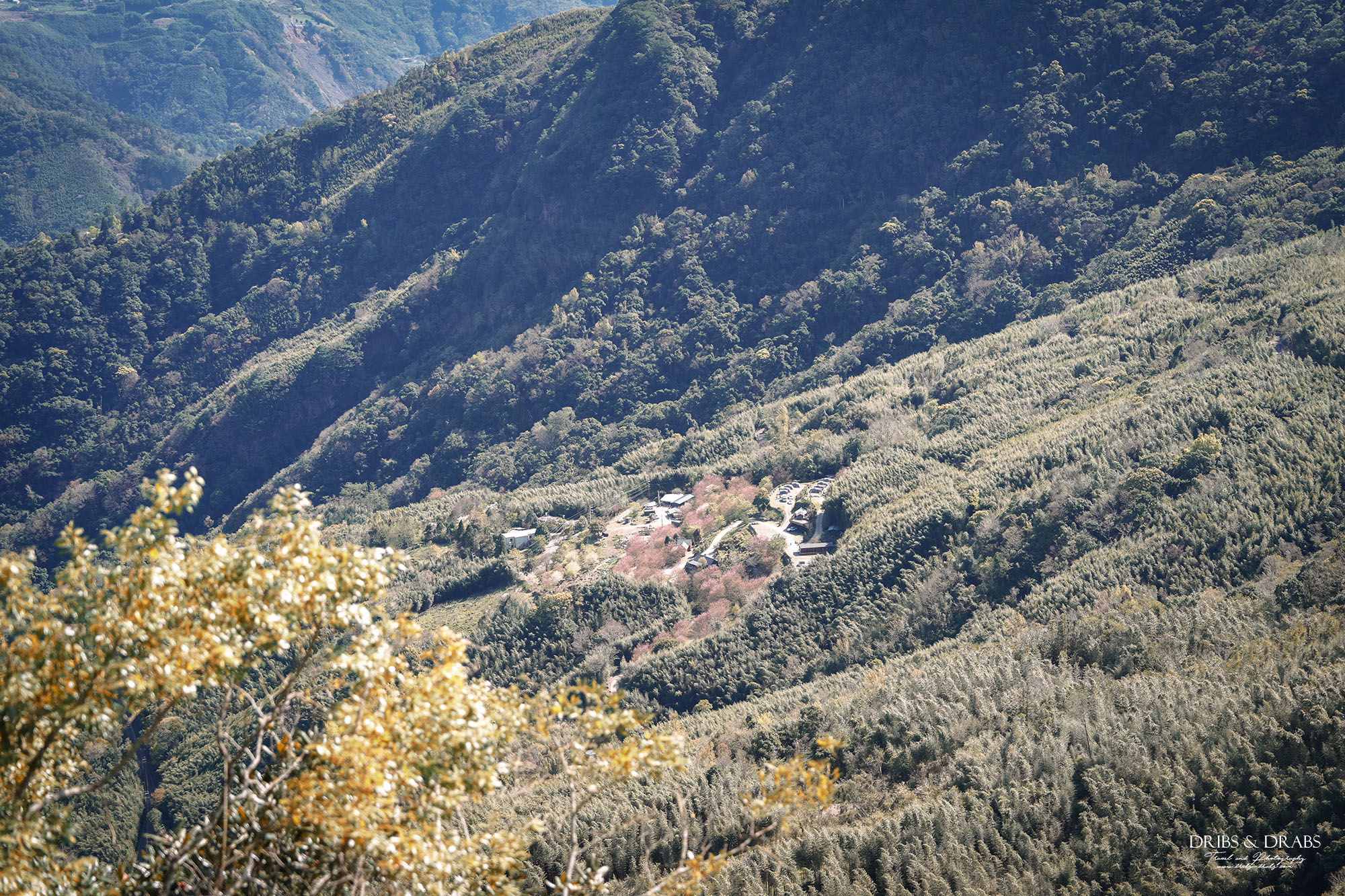 新竹尖石魯壁一家人景觀餐廳｜新開幕宇老森林民宿，一泊二食高山住宿體驗
