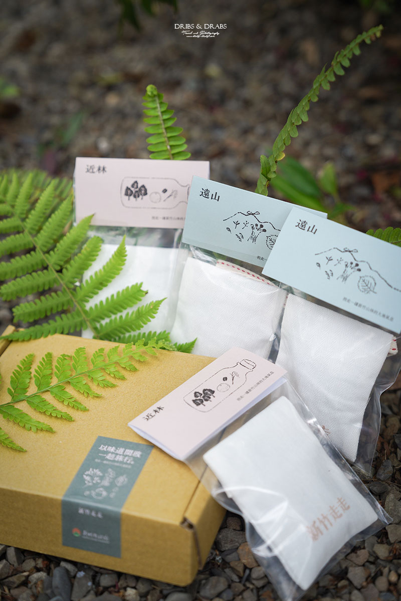 新竹尖石走走｜在雲霧繚繞的山林深處，探訪茶金和獵人黃藤的秘密