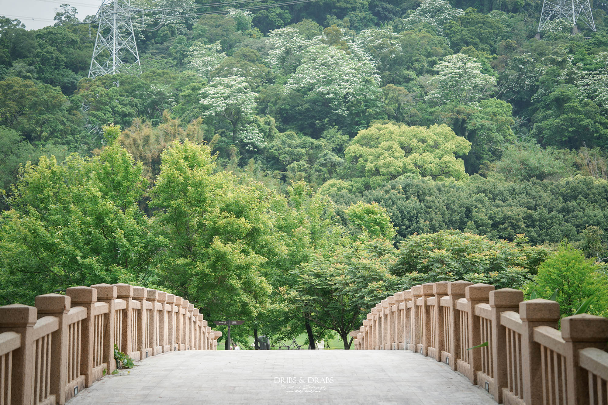 桃園大溪後慈湖秘境步道攻略｜睽違3年重新開放試營運，預約制免費入園、最新路線一次看