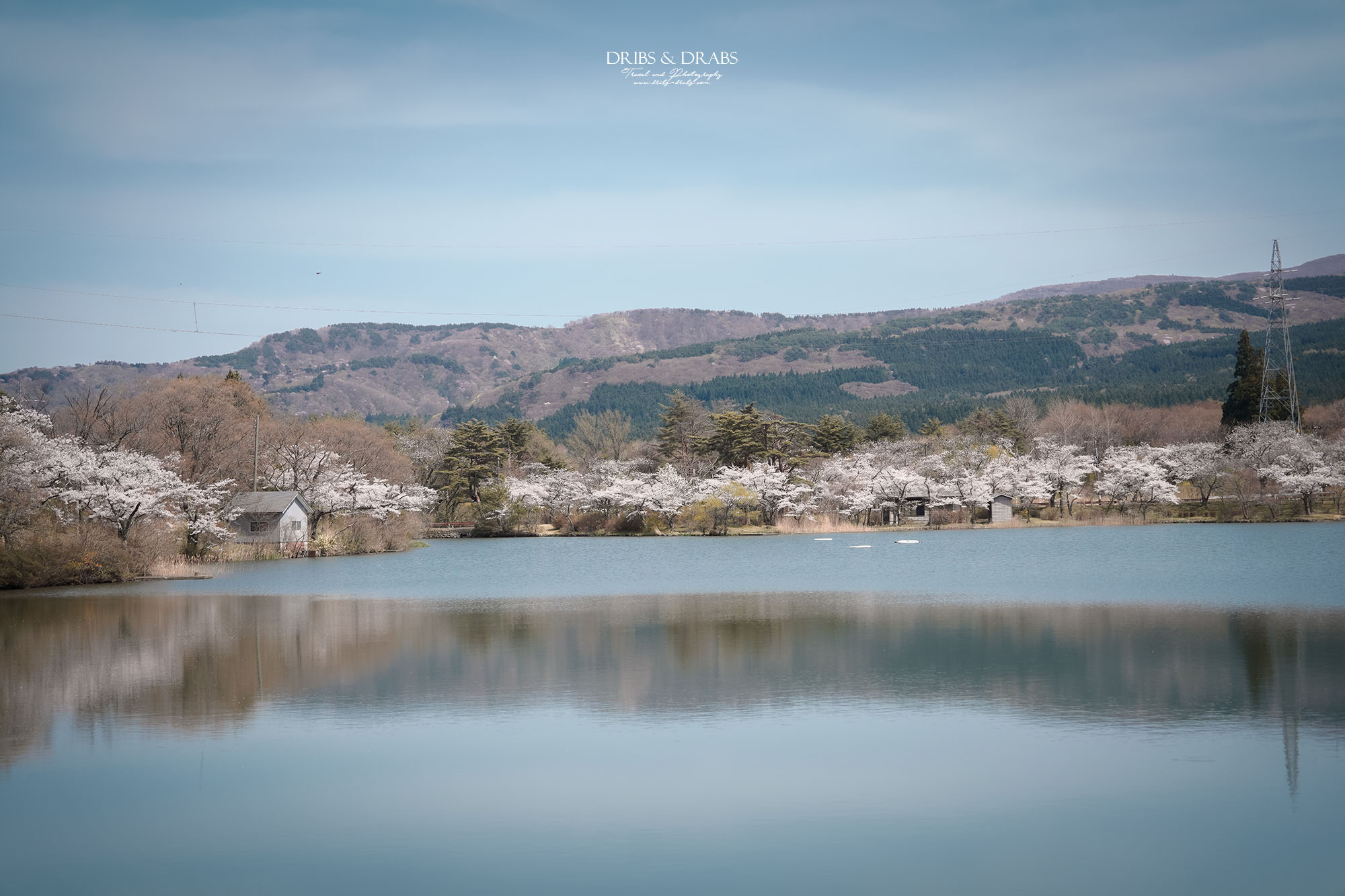 秋田櫻花景點栗山池公園|鳥海山絕美池畔倒影,預約制櫻花樹下的浪漫奢華午宴 - 第3張圖 秋田櫻花景點栗山池公園|鳥海山絕美池畔倒影,預約制櫻花樹下的浪漫奢華午宴