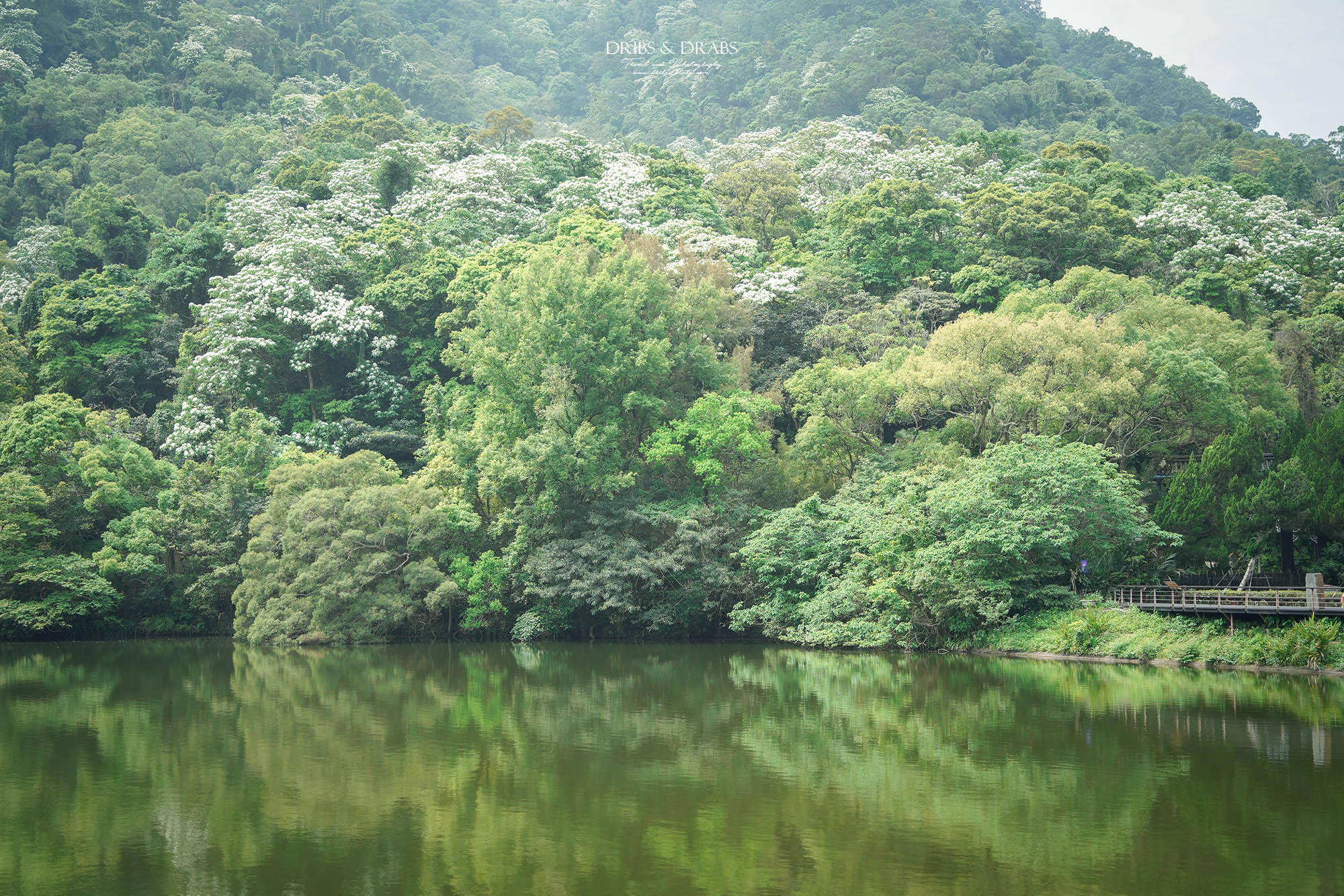 桃園大溪後慈湖秘境步道攻略｜睽違3年重新開放試營運，預約制免費入園、最新路線一次看