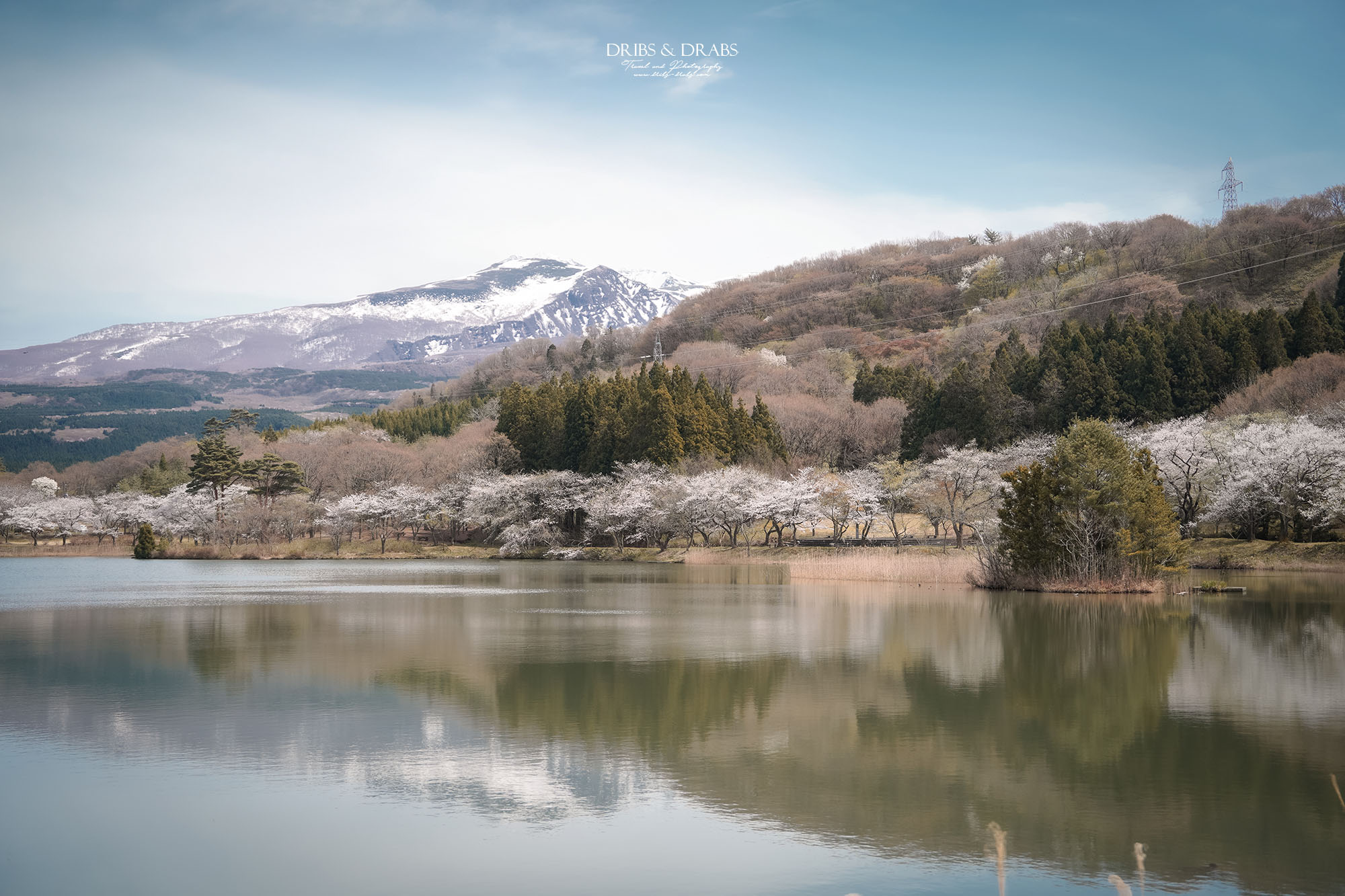 秋田櫻花景點栗山池公園|鳥海山絕美池畔倒影,預約制櫻花樹下的浪漫奢華午宴 - 第4張圖 秋田櫻花景點栗山池公園|鳥海山絕美池畔倒影,預約制櫻花樹下的浪漫奢華午宴