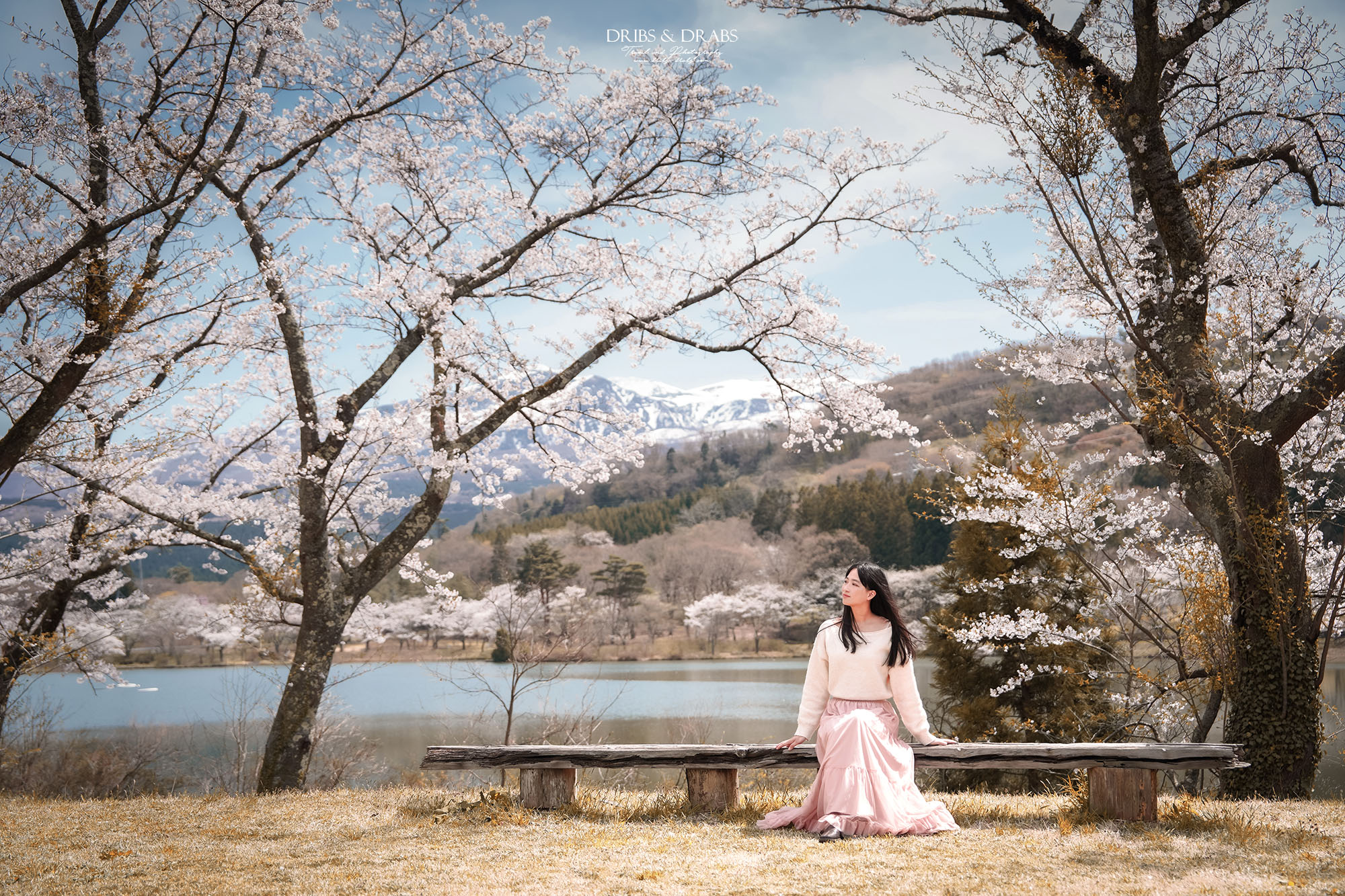 秋田櫻花景點栗山池公園|鳥海山絕美池畔倒影,預約制櫻花樹下的浪漫奢華午宴 - 第9張圖 秋田櫻花景點栗山池公園|鳥海山絕美池畔倒影,預約制櫻花樹下的浪漫奢華午宴