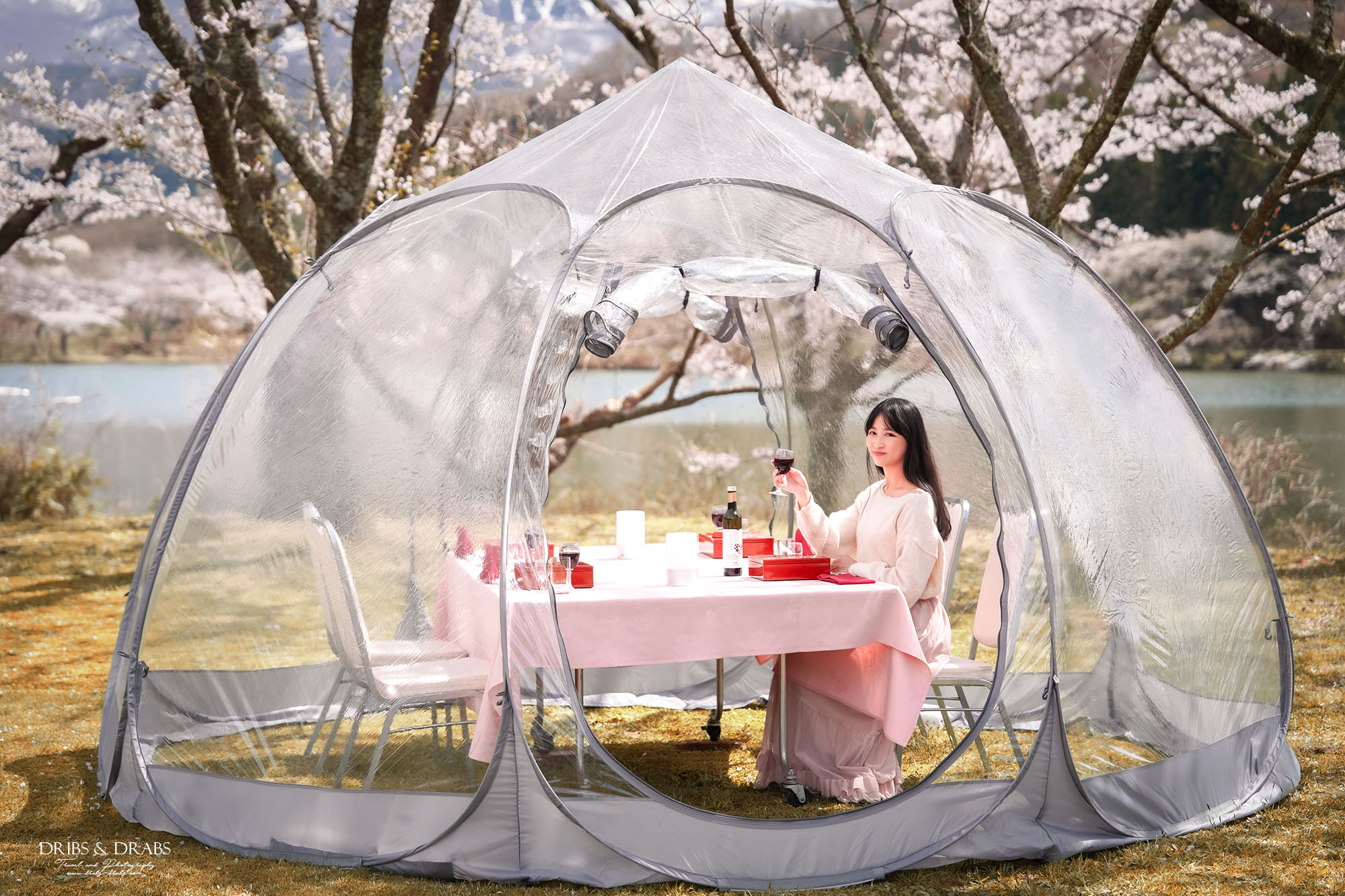 秋田櫻花景點栗山池公園|鳥海山絕美池畔倒影,預約制櫻花樹下的浪漫奢華午宴 - 第14張圖 秋田櫻花景點栗山池公園|鳥海山絕美池畔倒影,預約制櫻花樹下的浪漫奢華午宴