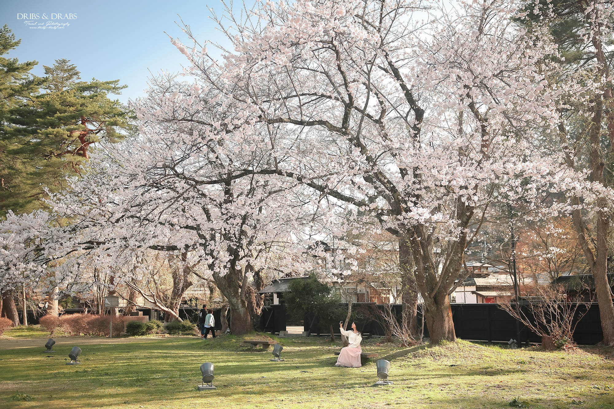 秋田角館武家屋敷櫻花季｜日本東北賞櫻景點推薦，春日限定江戶風情櫻花街道