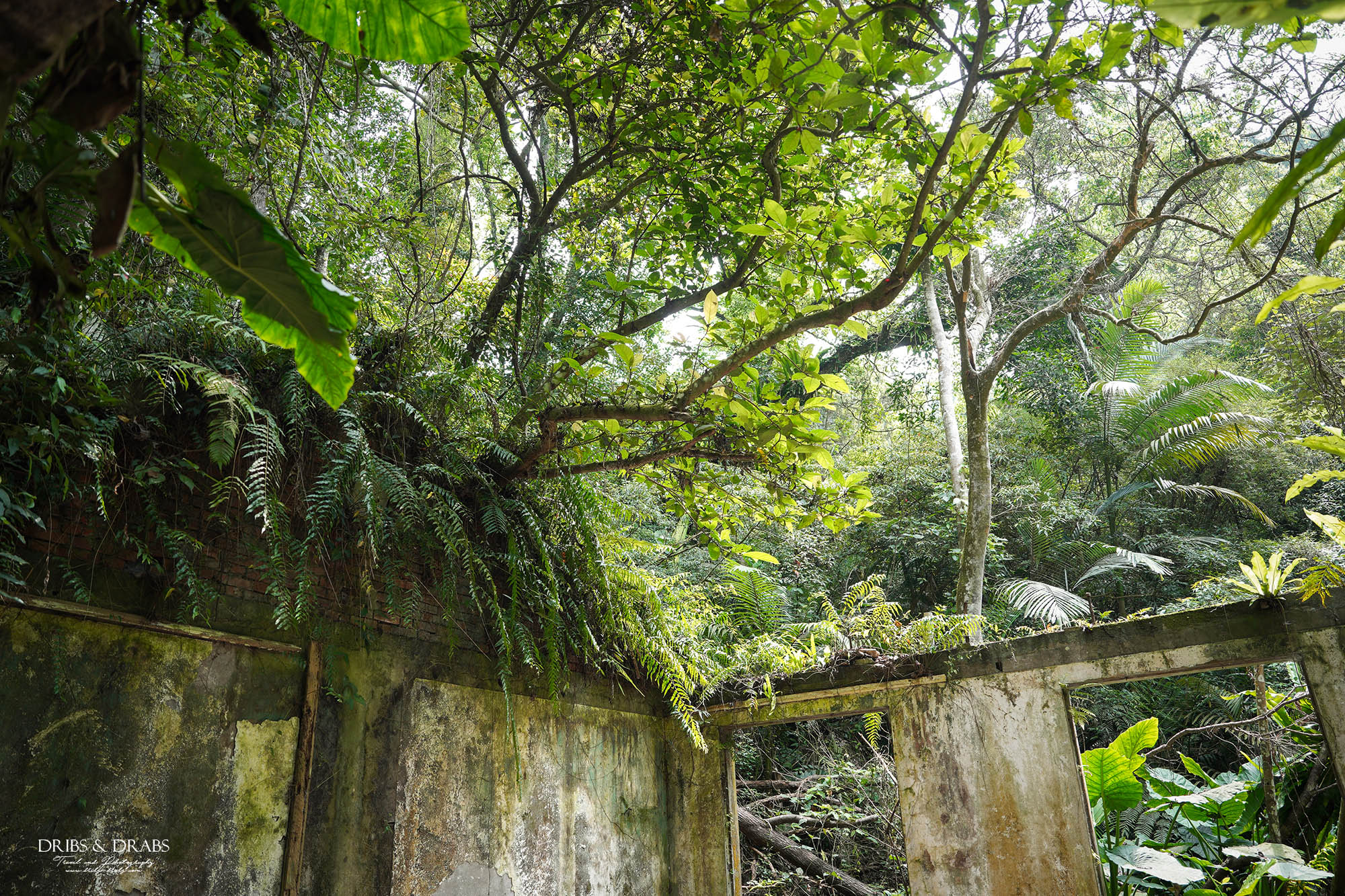 桃園大溪後慈湖秘境步道攻略｜睽違3年重新開放試營運，預約制免費入園、最新路線一次看