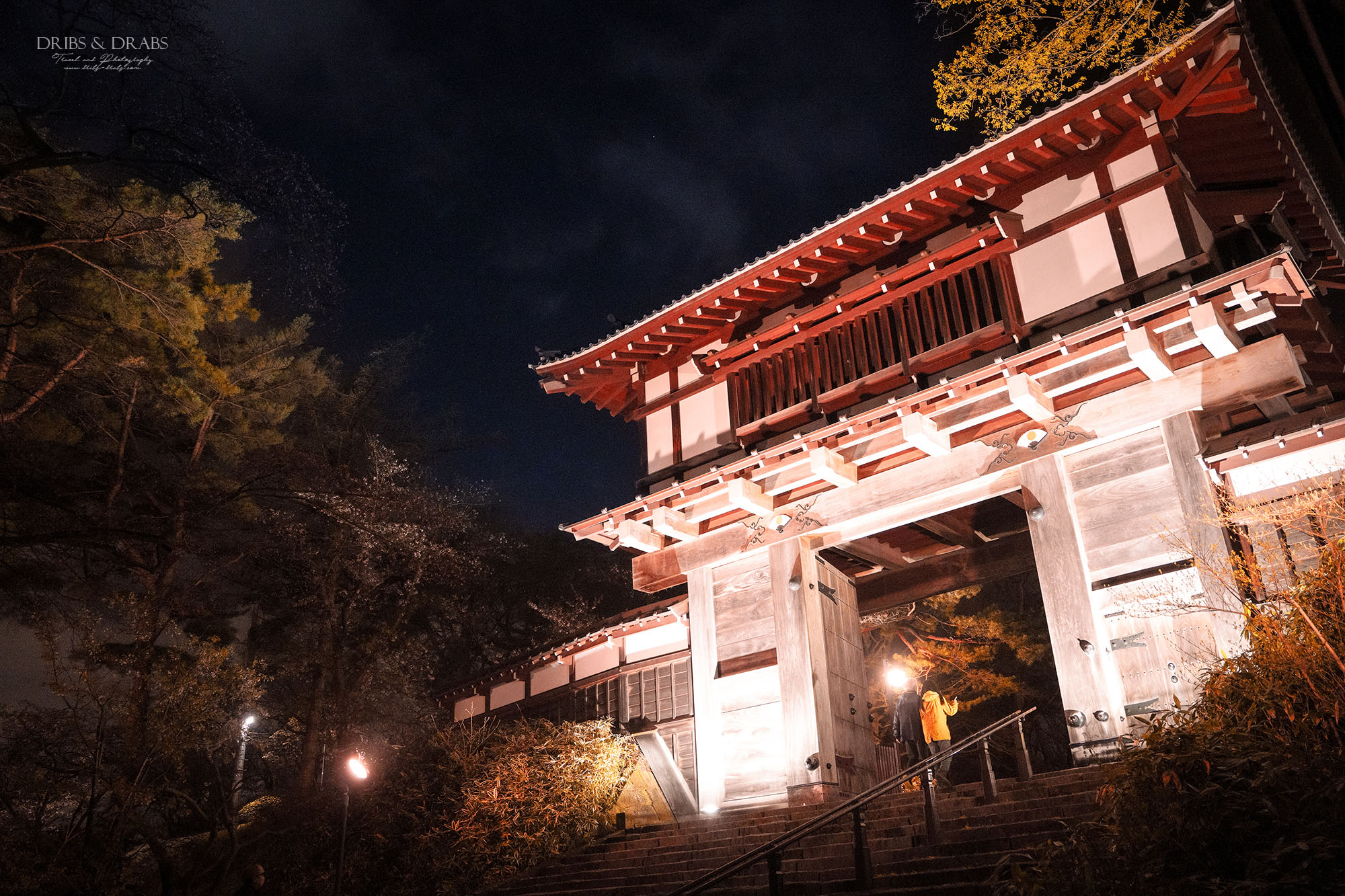 2026日本秋田櫻花景點推薦 7 選｜秋田賞櫻攻略，角館武家屋敷×檜木內川堤＋在地櫻花秘境