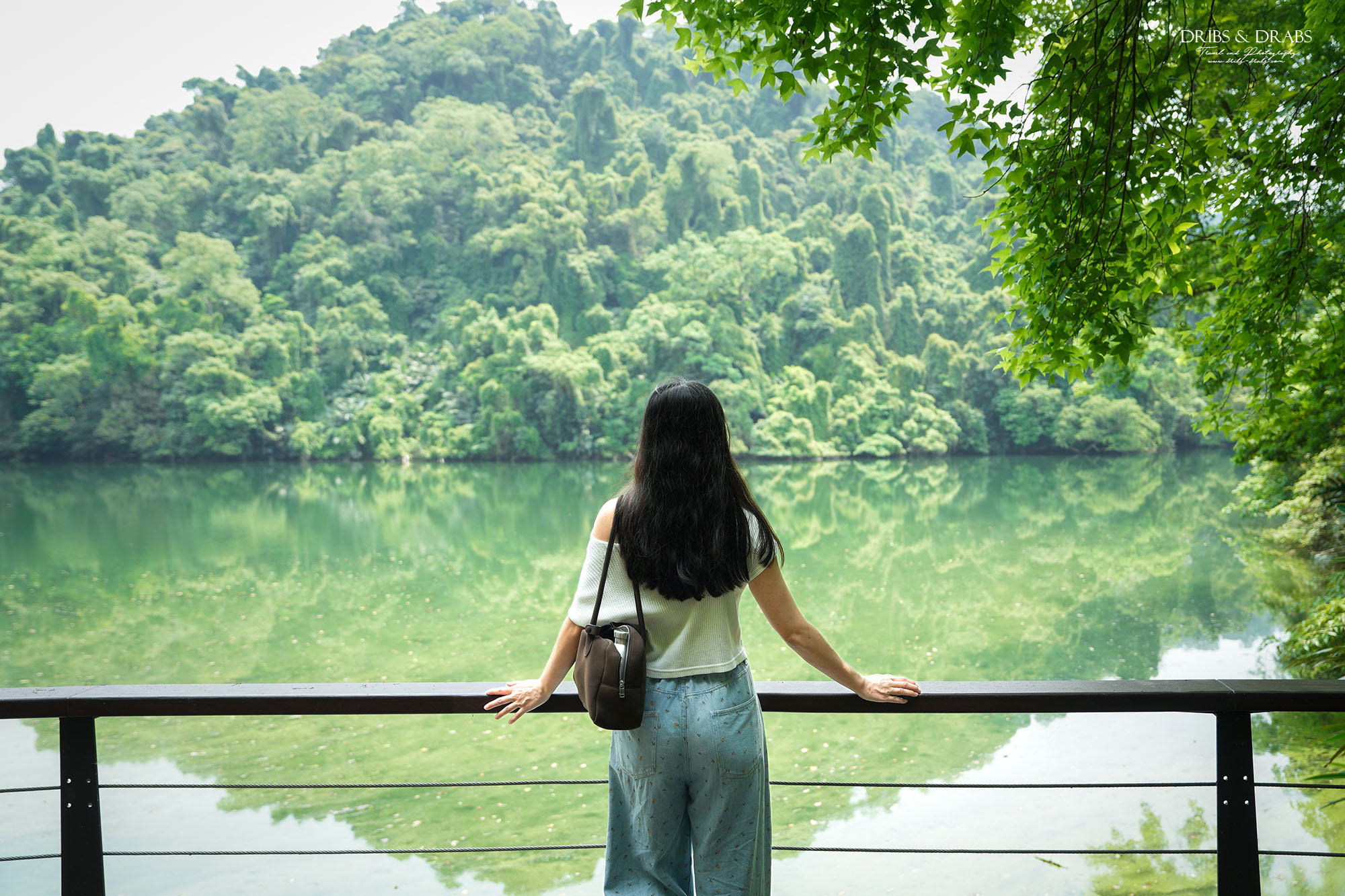 桃園大溪後慈湖秘境步道攻略｜睽違3年重新開放試營運，預約制免費入園、最新路線一次看