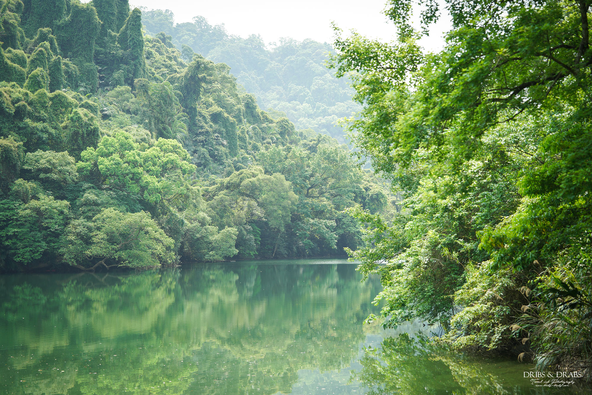 桃園大溪後慈湖秘境步道攻略｜睽違3年重新開放試營運，預約制免費入園、最新路線一次看