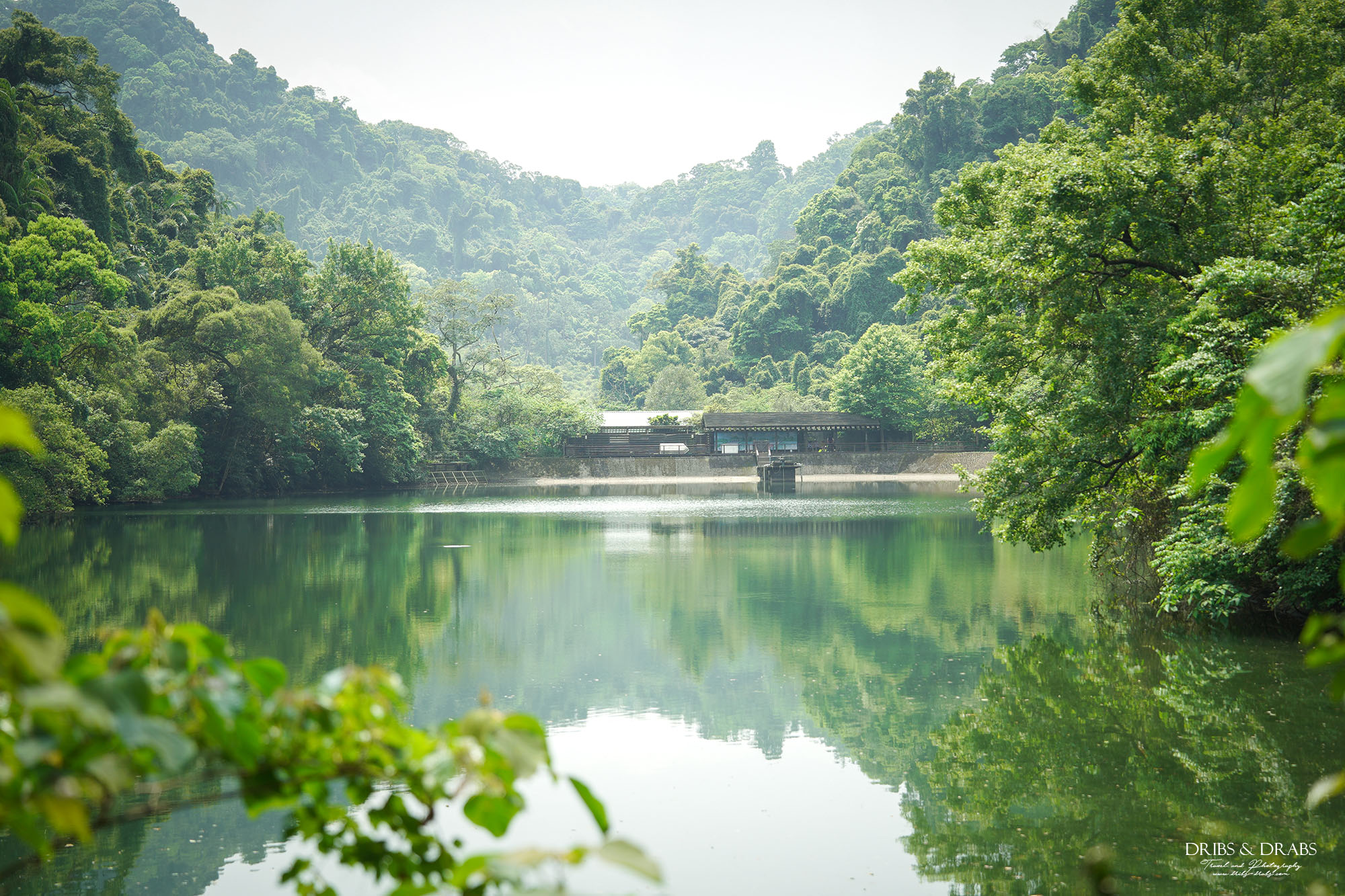 桃園大溪後慈湖秘境步道攻略｜睽違3年重新開放試營運，預約制免費入園、最新路線一次看