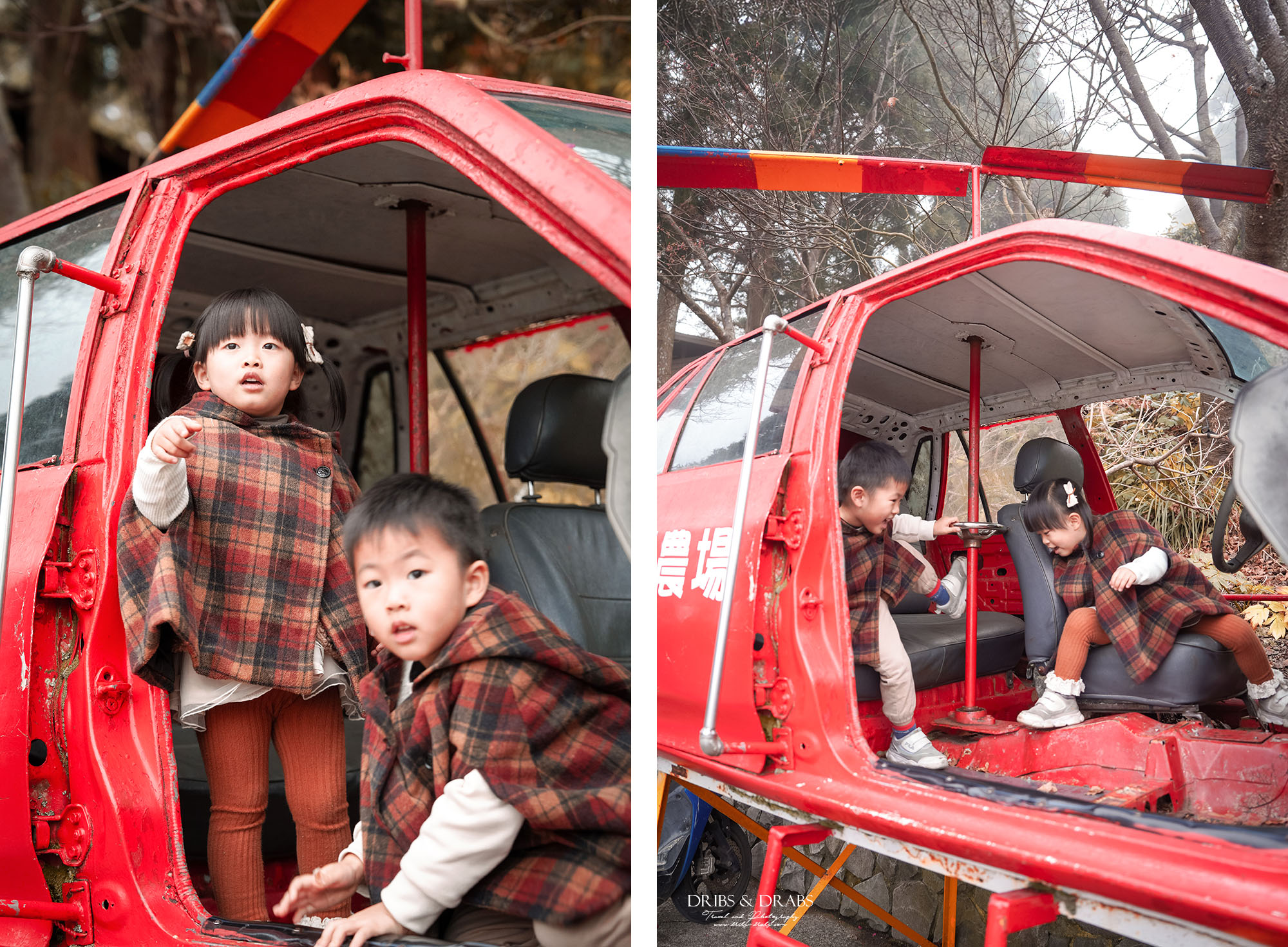 新竹五峰雪霸農場住宿攻略｜雲海、觀星、小木屋一次收藏！免開車巴士直達雲端秘境
