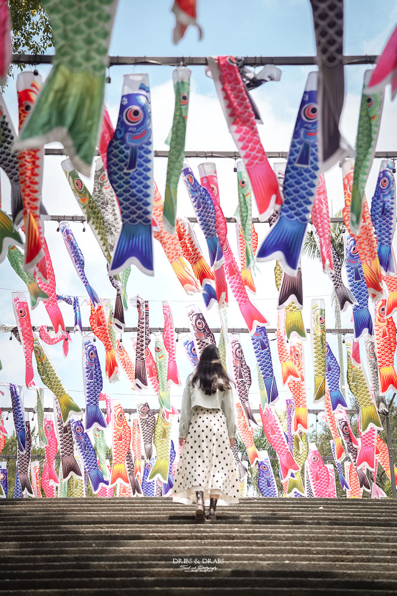 桃園神社、桃園忠烈祠暨神社文化園區｜全台保存最完整的日式神社景點，穿越昭和時代的歷史文化秘境